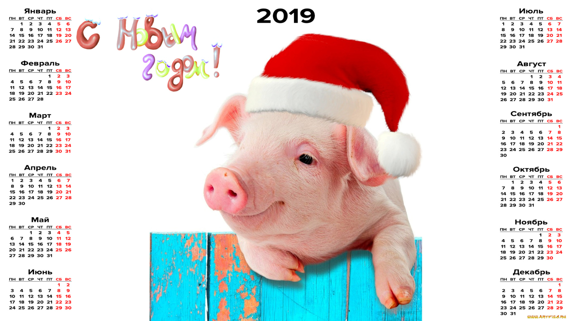 календари, праздники, , салюты, свинья, шапка, поросенок
