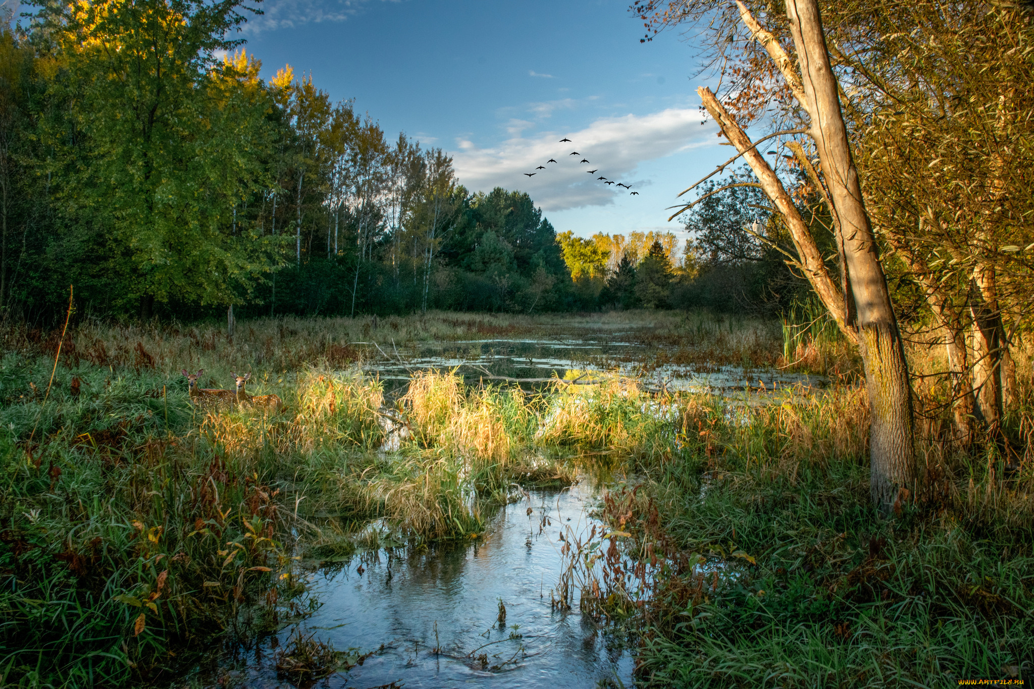 природа, реки, озера, простор