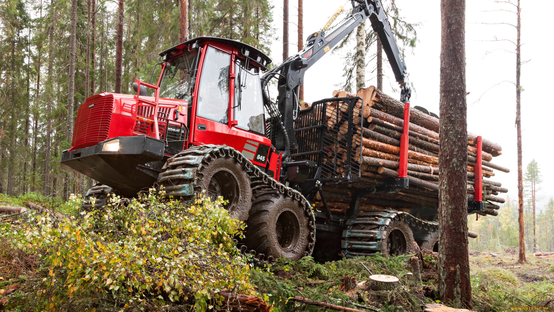 техника, лесоповалочная, техника, komatsu