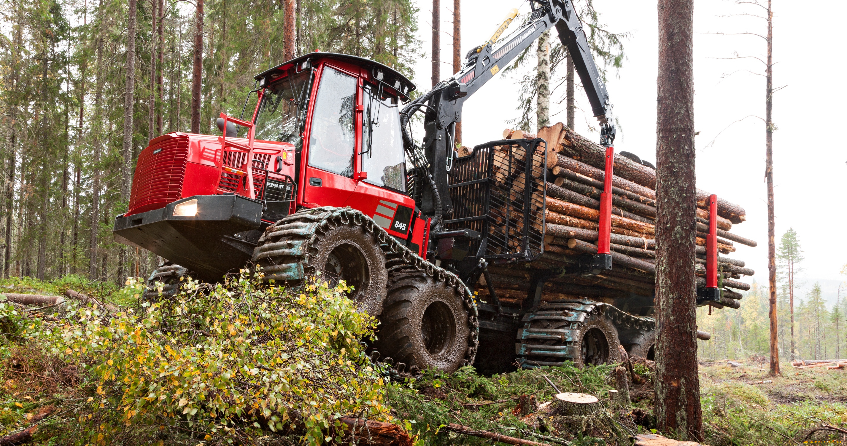 техника, лесоповалочная, техника, komatsu