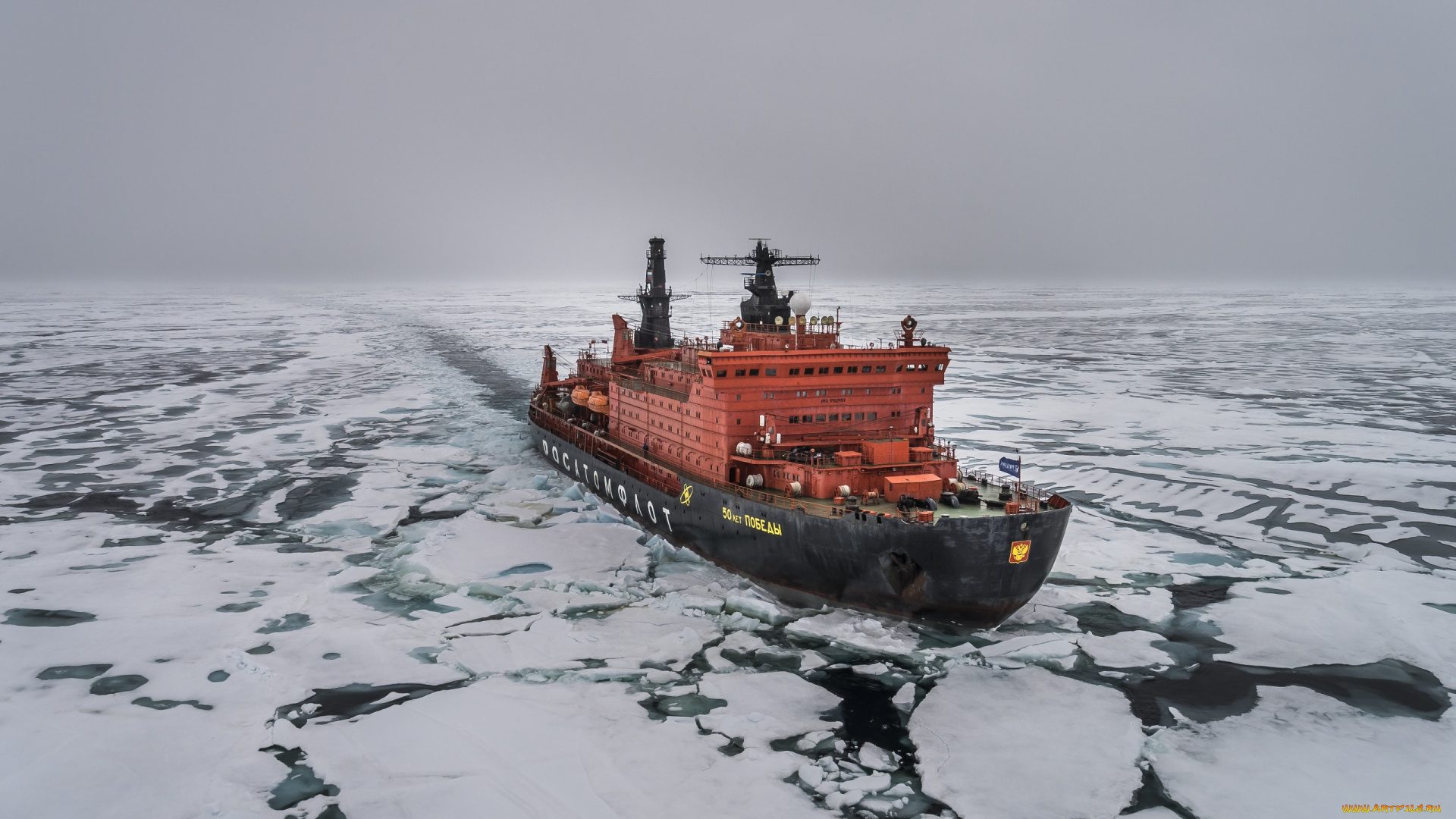 корабли, ледоколы, арктика, море, корабль, лед, транспортное, средство, атомный, ледокол, росатом, россия, 50, лет, победы