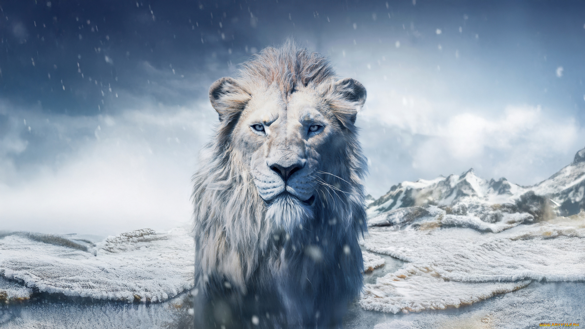 mufasa, , the, lion, king, , , 2024, , мультфильмы, , the, lion, king, kiros, муфаса, король, лев, мюзикл, семейный, disney, пoстeр