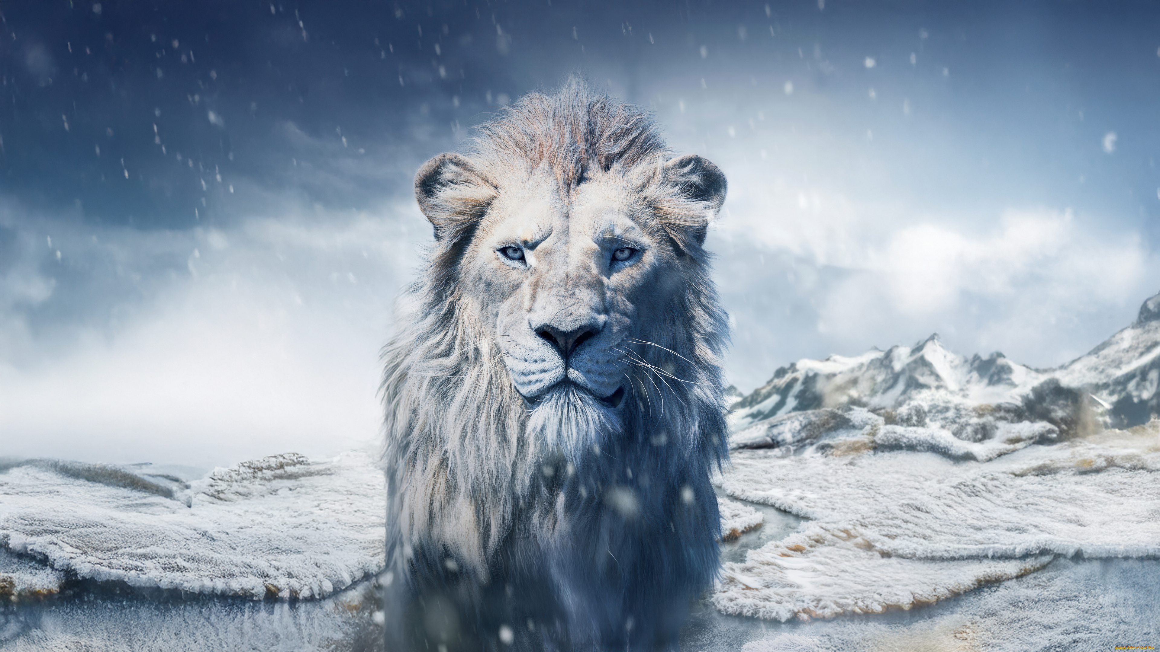 mufasa, , the, lion, king, , , 2024, , мультфильмы, , the, lion, king, kiros, муфаса, король, лев, мюзикл, семейный, disney, пoстeр