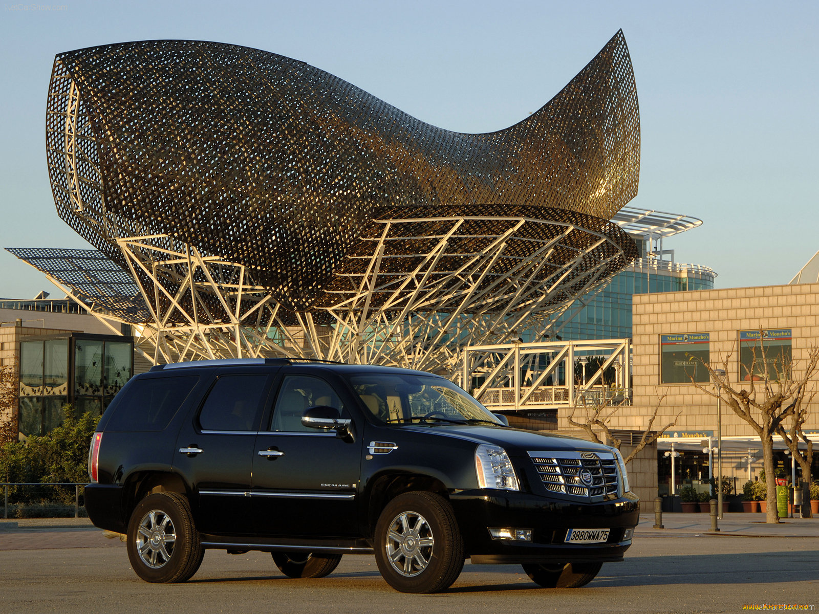 автомобили, cadillac