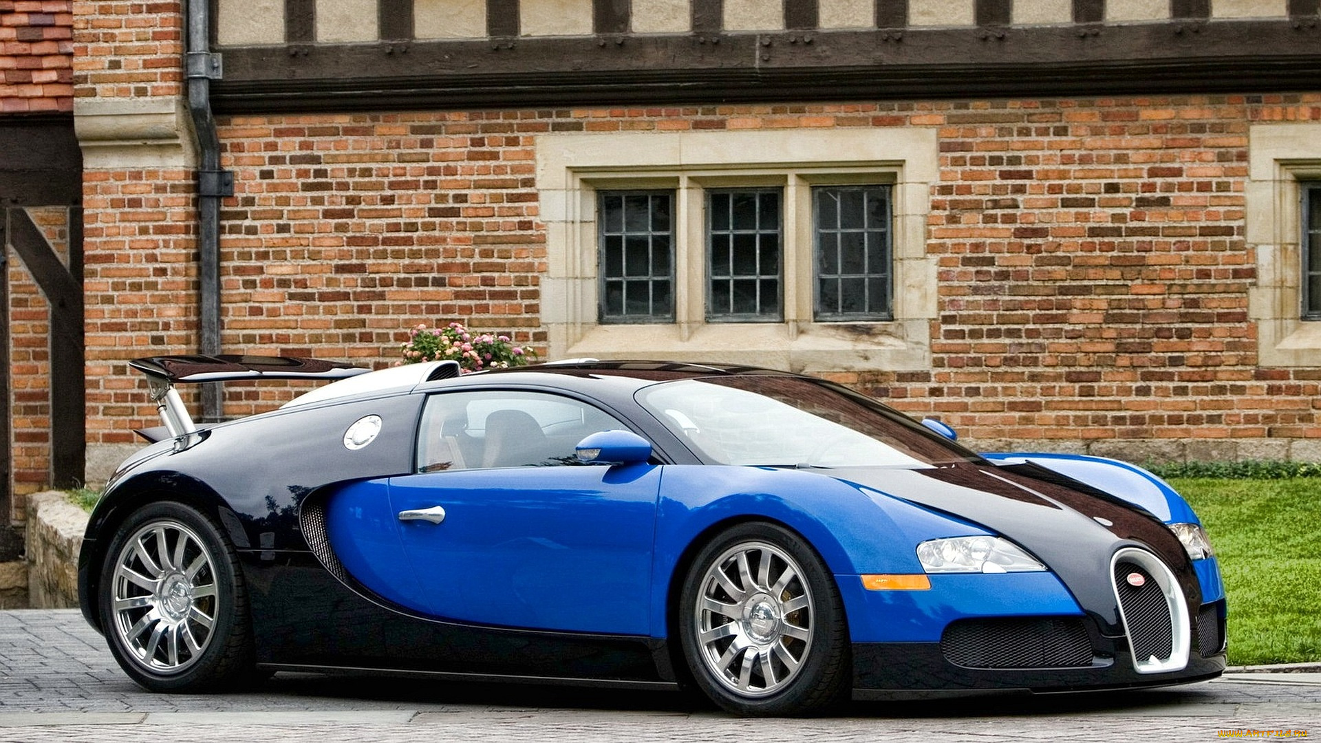 bugatti, veyron, автомобили, скорость, мощь, автомобиль, стиль