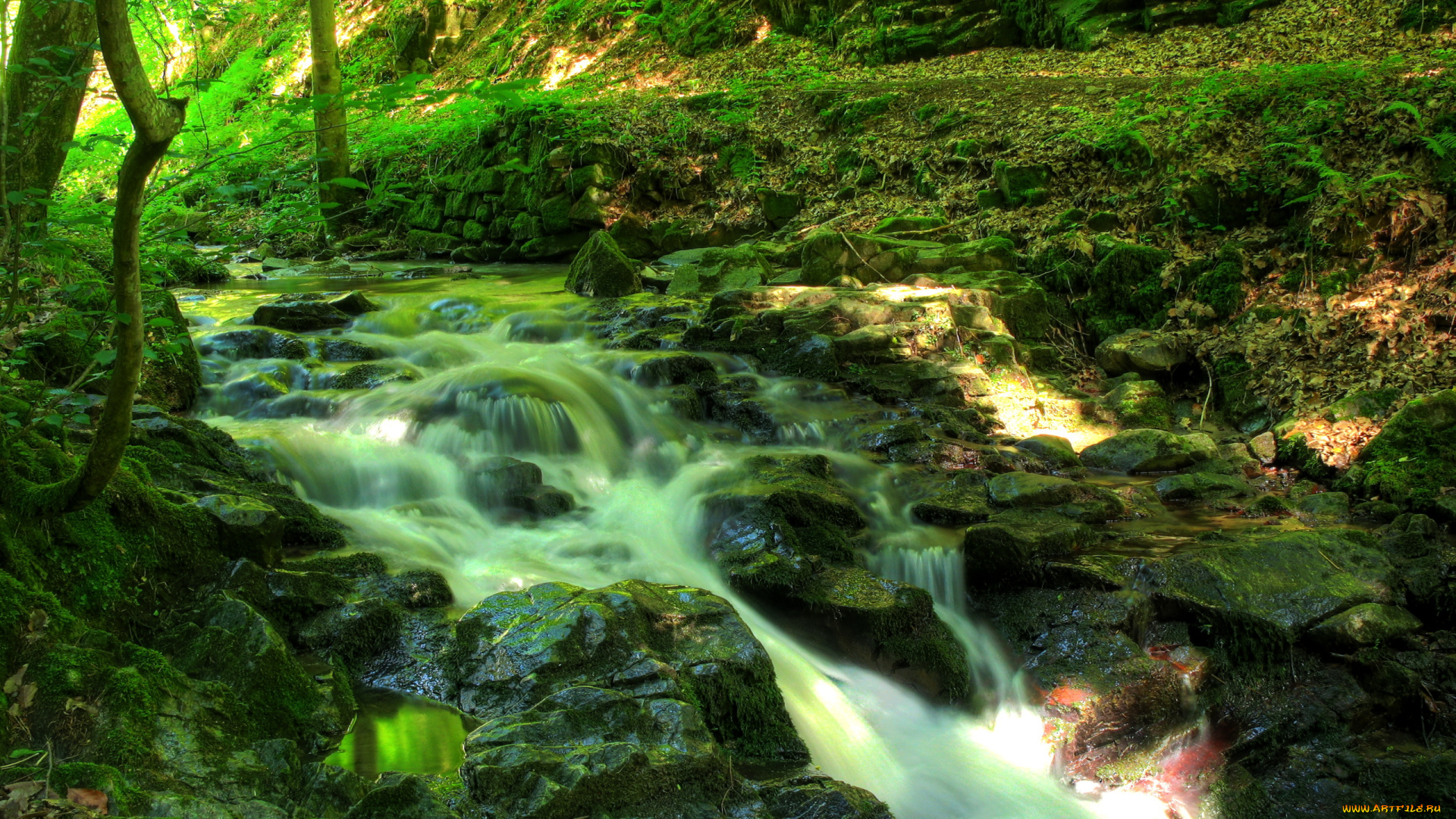 ziegelbach, wasserfall, австрия, природа, водопады, лес, водопад