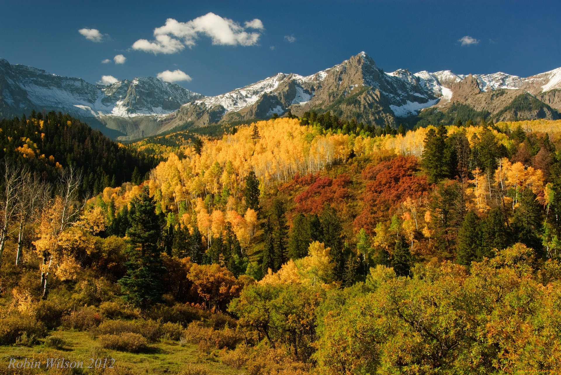 природа, горы, деревья, осень