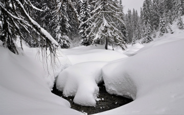 Картинка природа зима ручей вода деревья лес сугробы снег