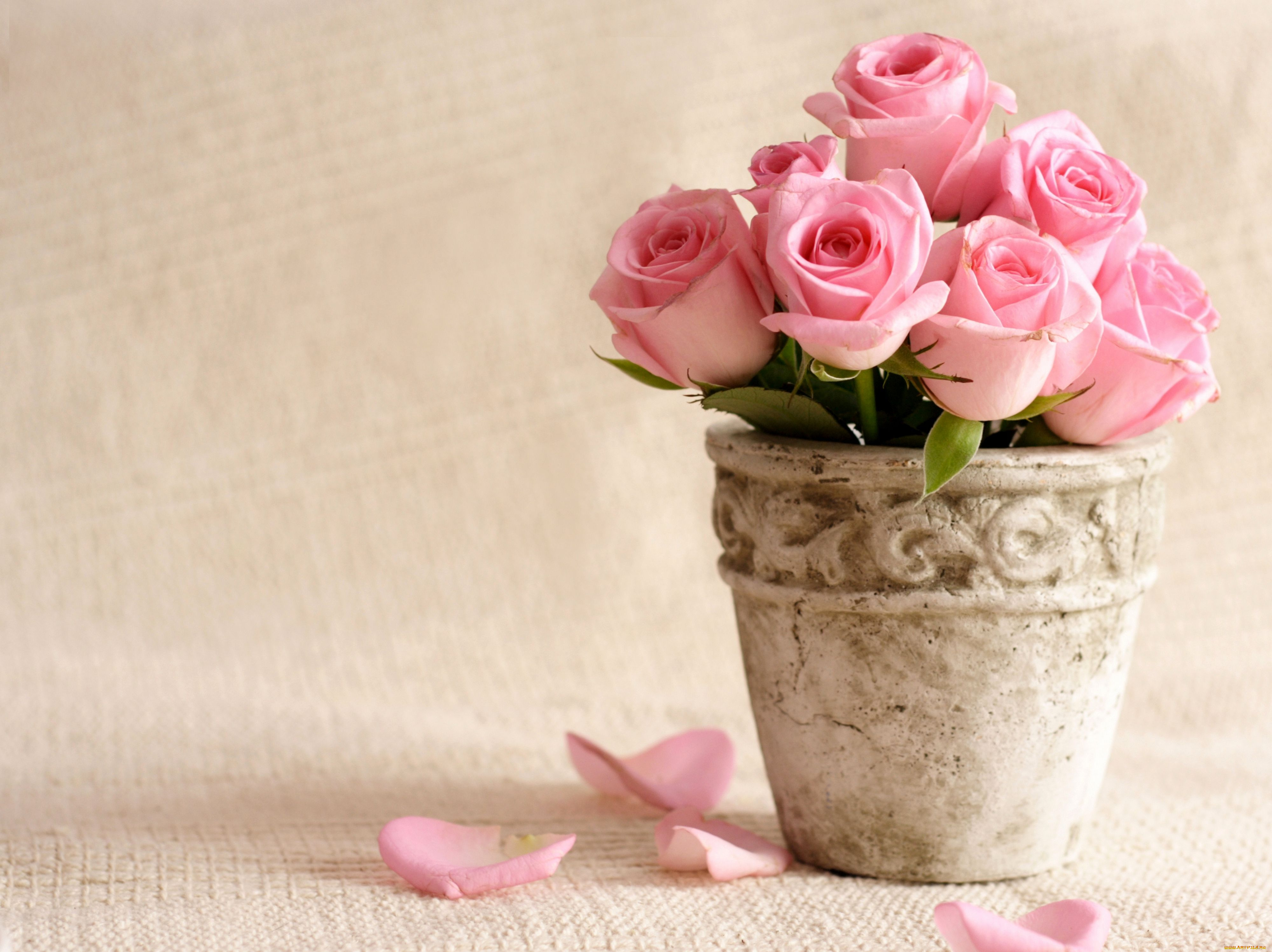 цветы ваза розовые бесплатно