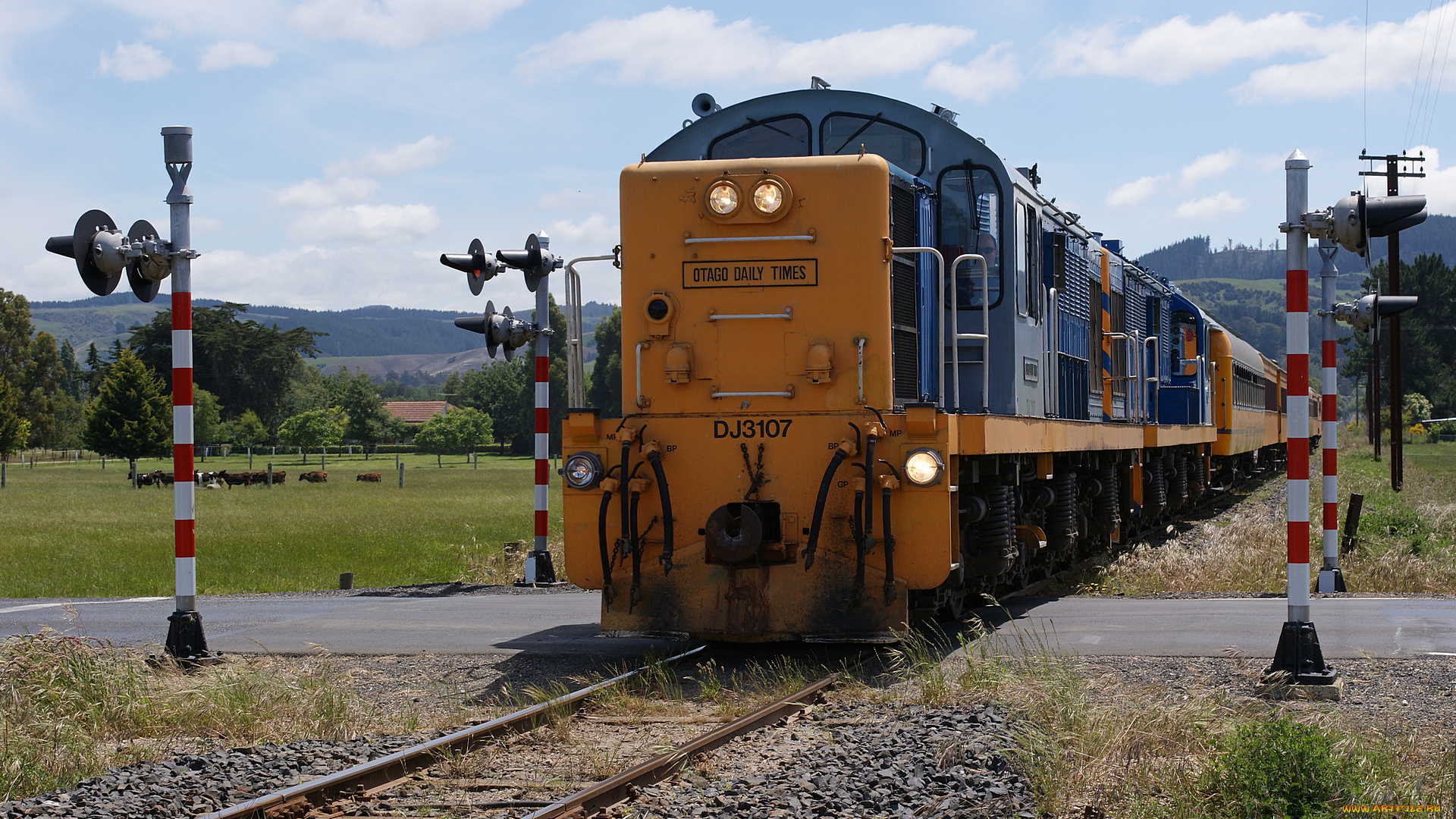 taieri, gorge, railway, dj, 3107, ex, nzr, locomotive, техника, поезда, пассажирский, состав, вагоны, локомотив, рельсы, железная, дорога