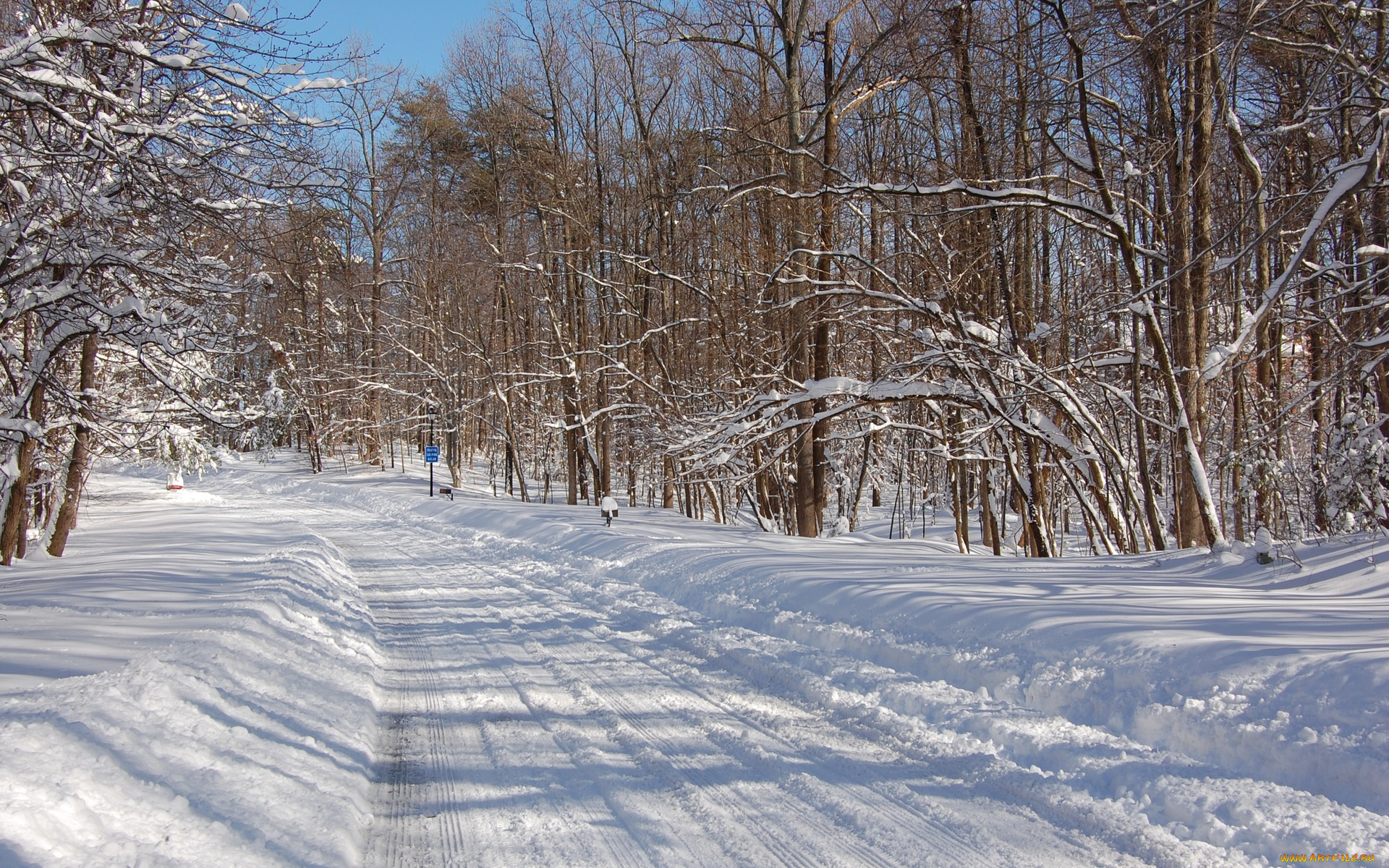 природа, зима, лес, знак, деревья, дорога, снег
