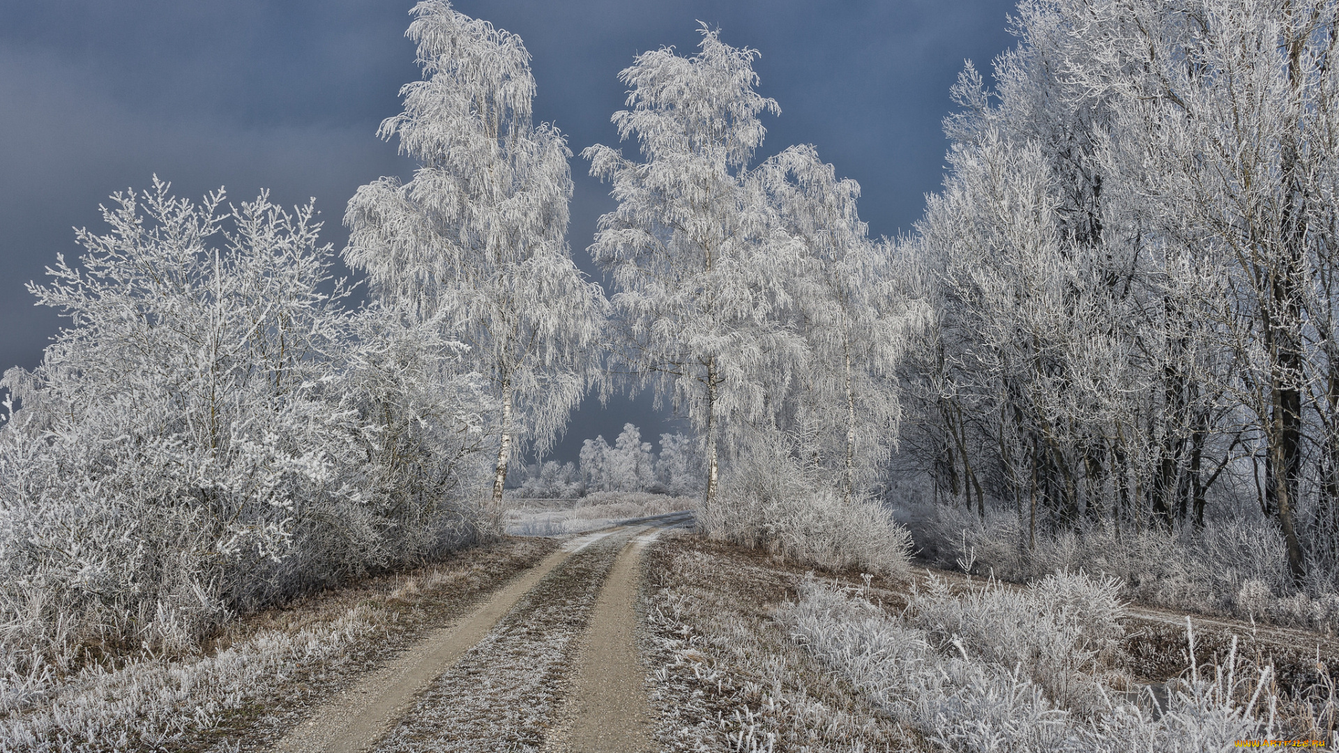 природа, дороги, тракт