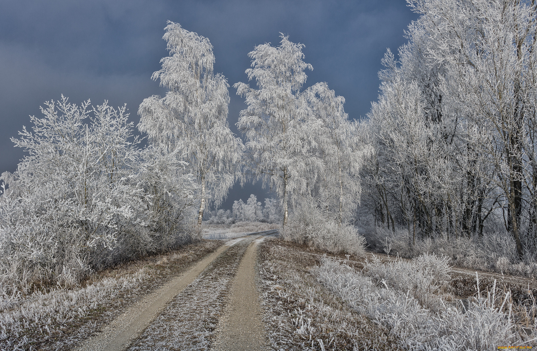 природа, дороги, тракт