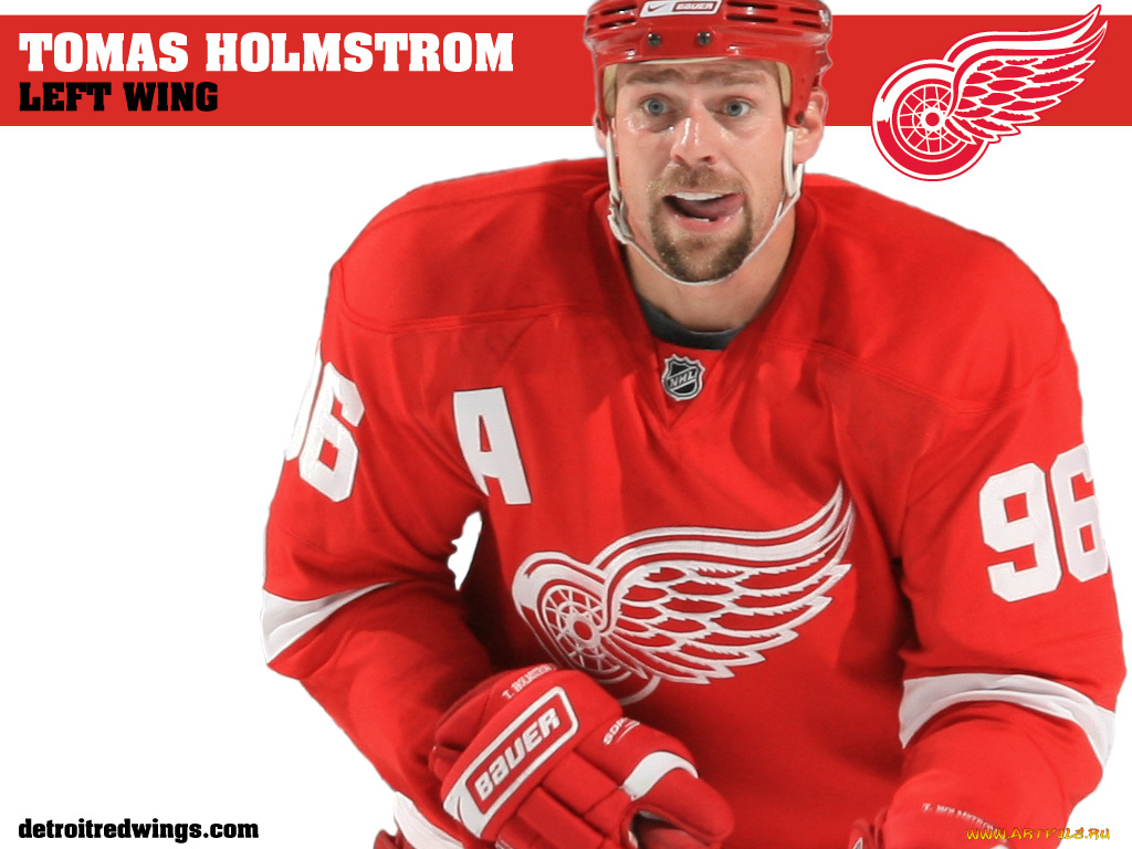 homstrom, спорт, nhl