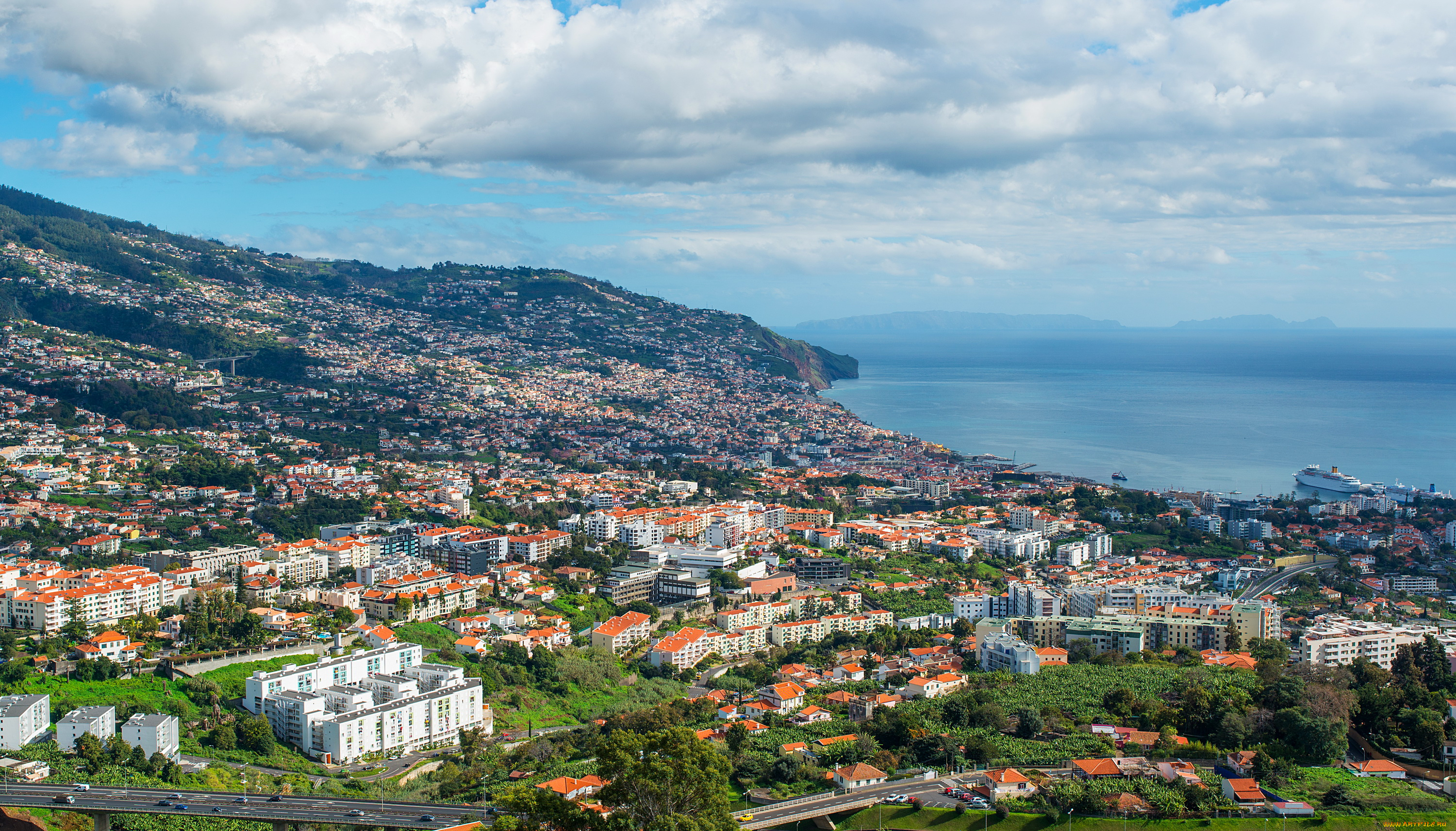 funchal, madeira, португалия, города, -, панорамы, португалия, мадейра, дома, море, панорама