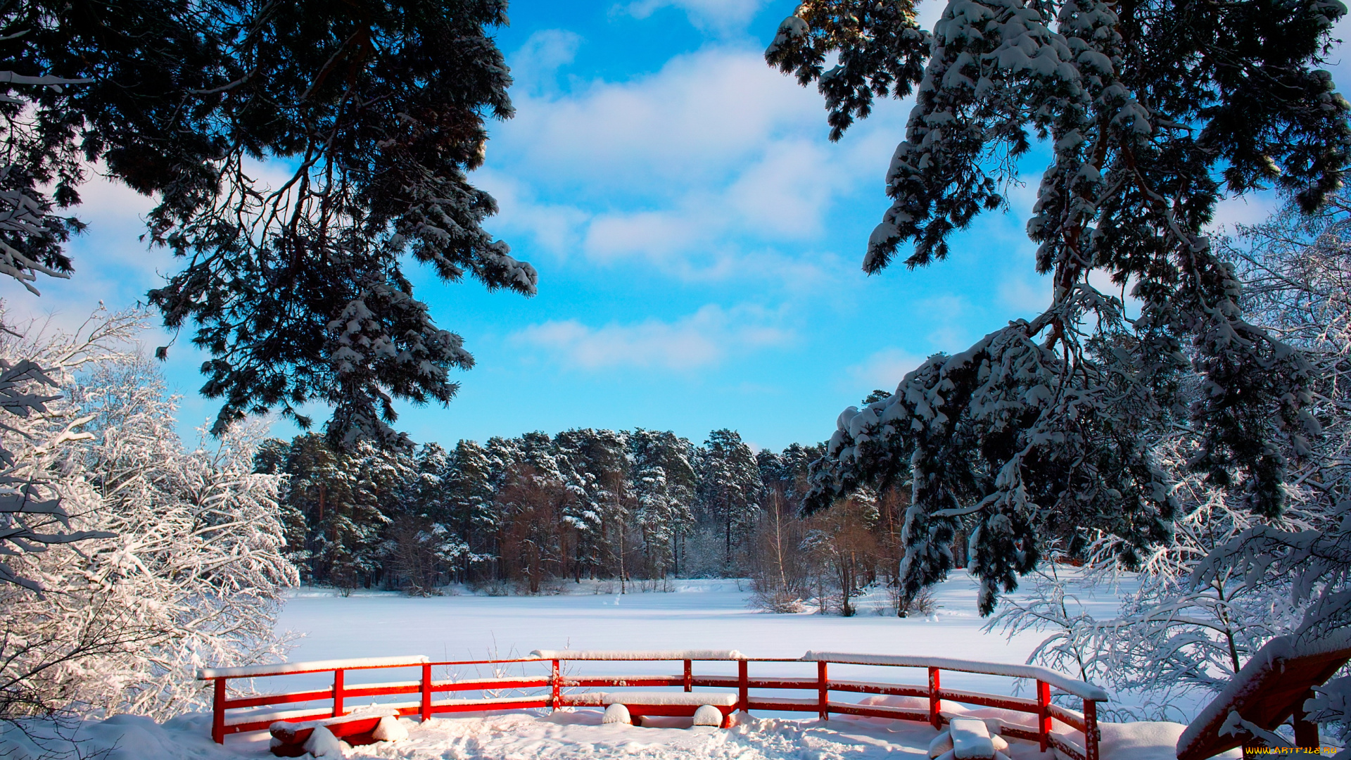 природа, зима, деревья, снег, парк