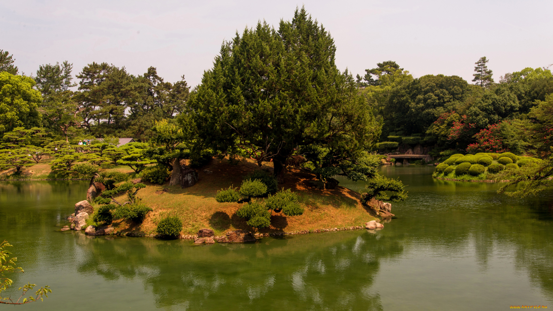 takamatsu, ritsurin, garden, japan, природа, парк, река, деревья, кусты