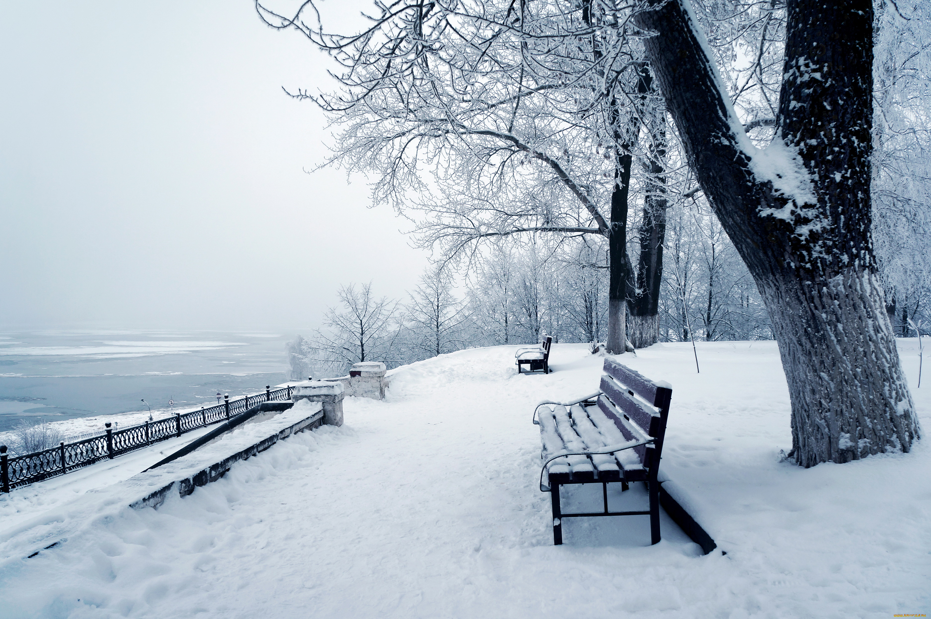 природа, зима, парк, снег, деревья