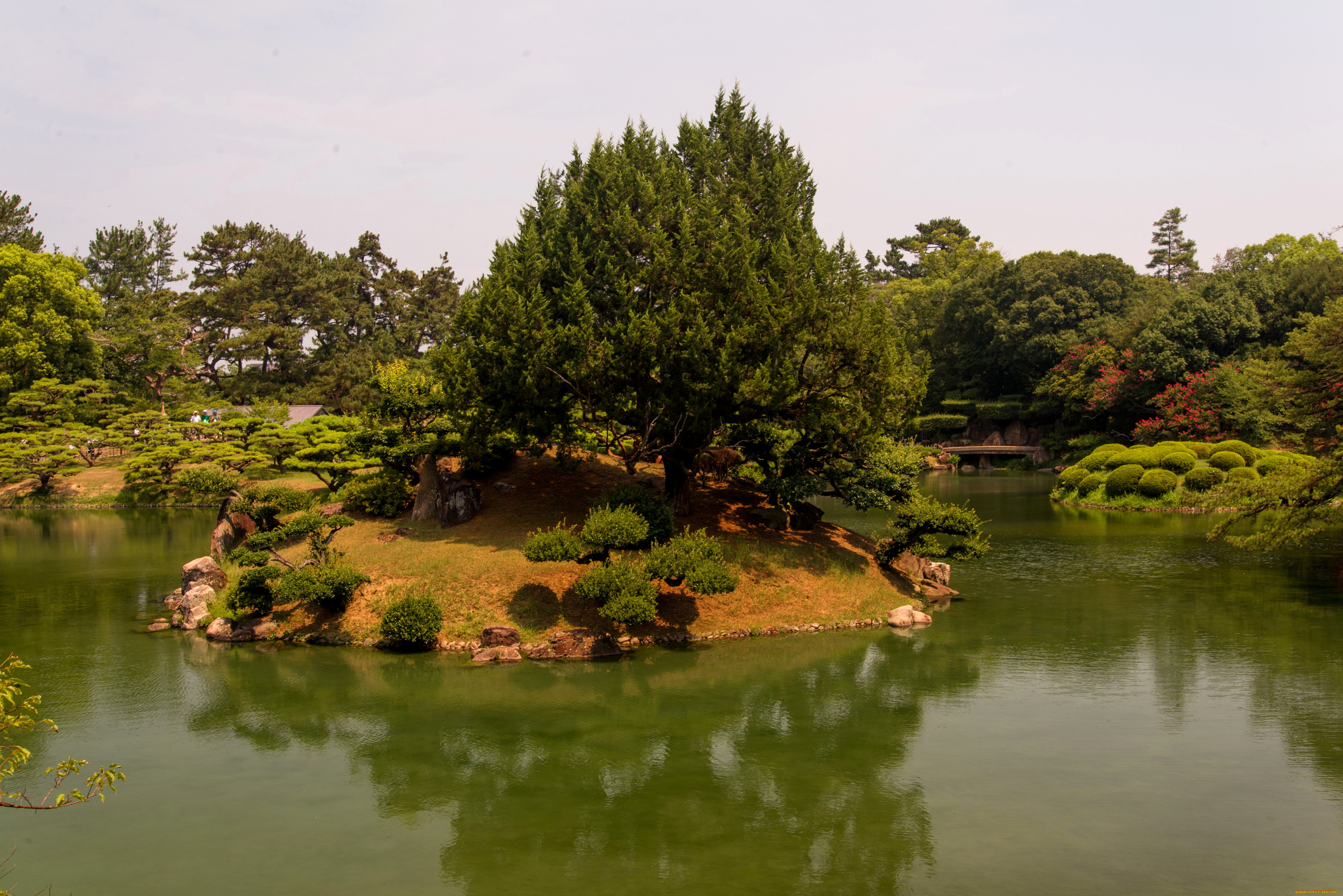 takamatsu, ritsurin, garden, japan, природа, парк, река, деревья, кусты