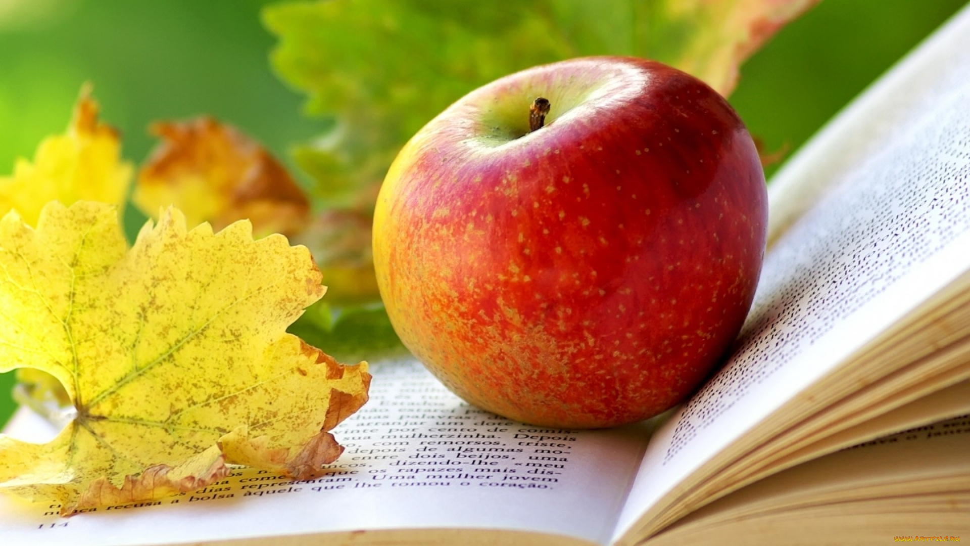 еда, Яблоки, книга, лист, осень