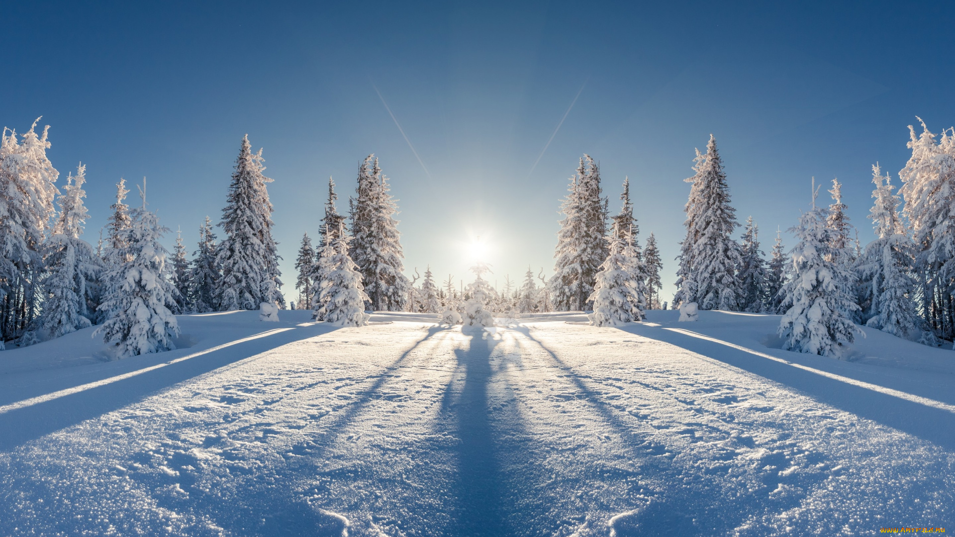 природа, зима, снег, елка, лес, nature, снежинки, winter, snow