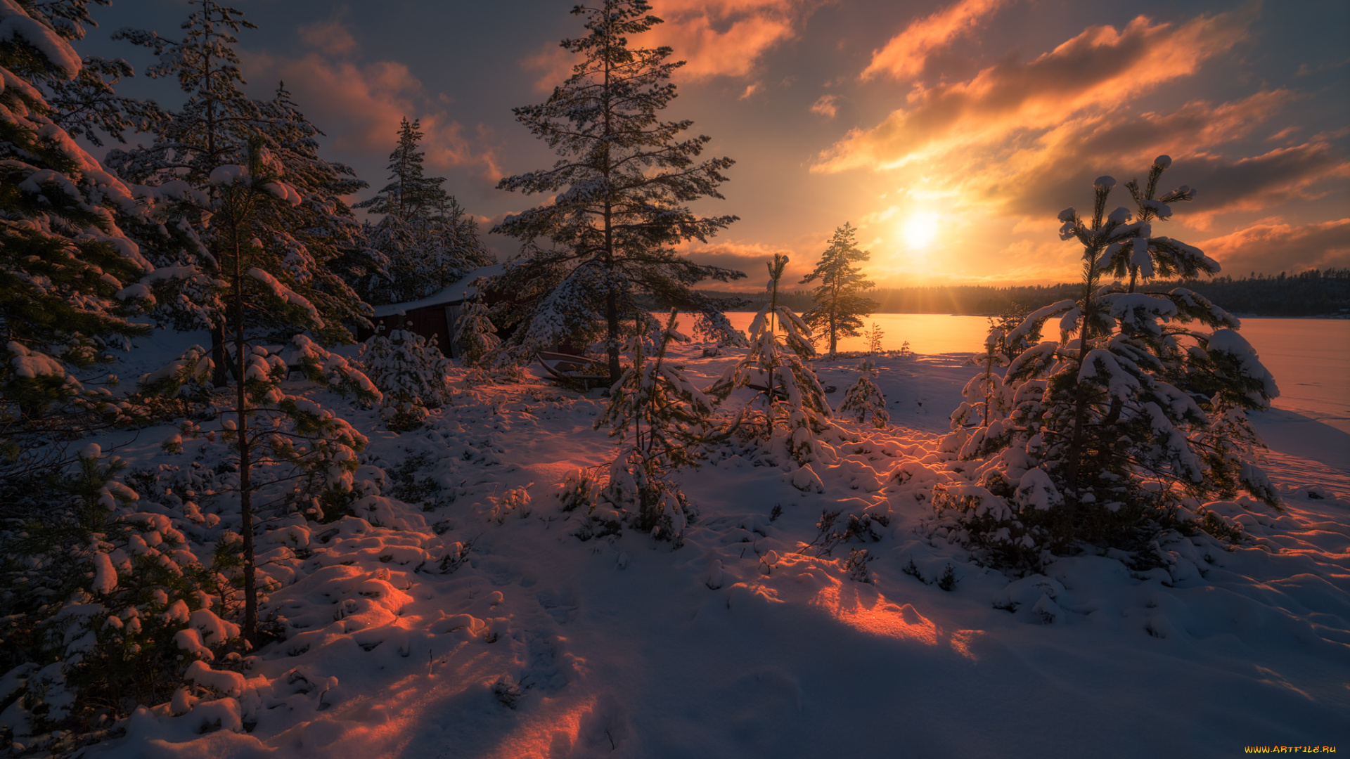 природа, зима, рассвет