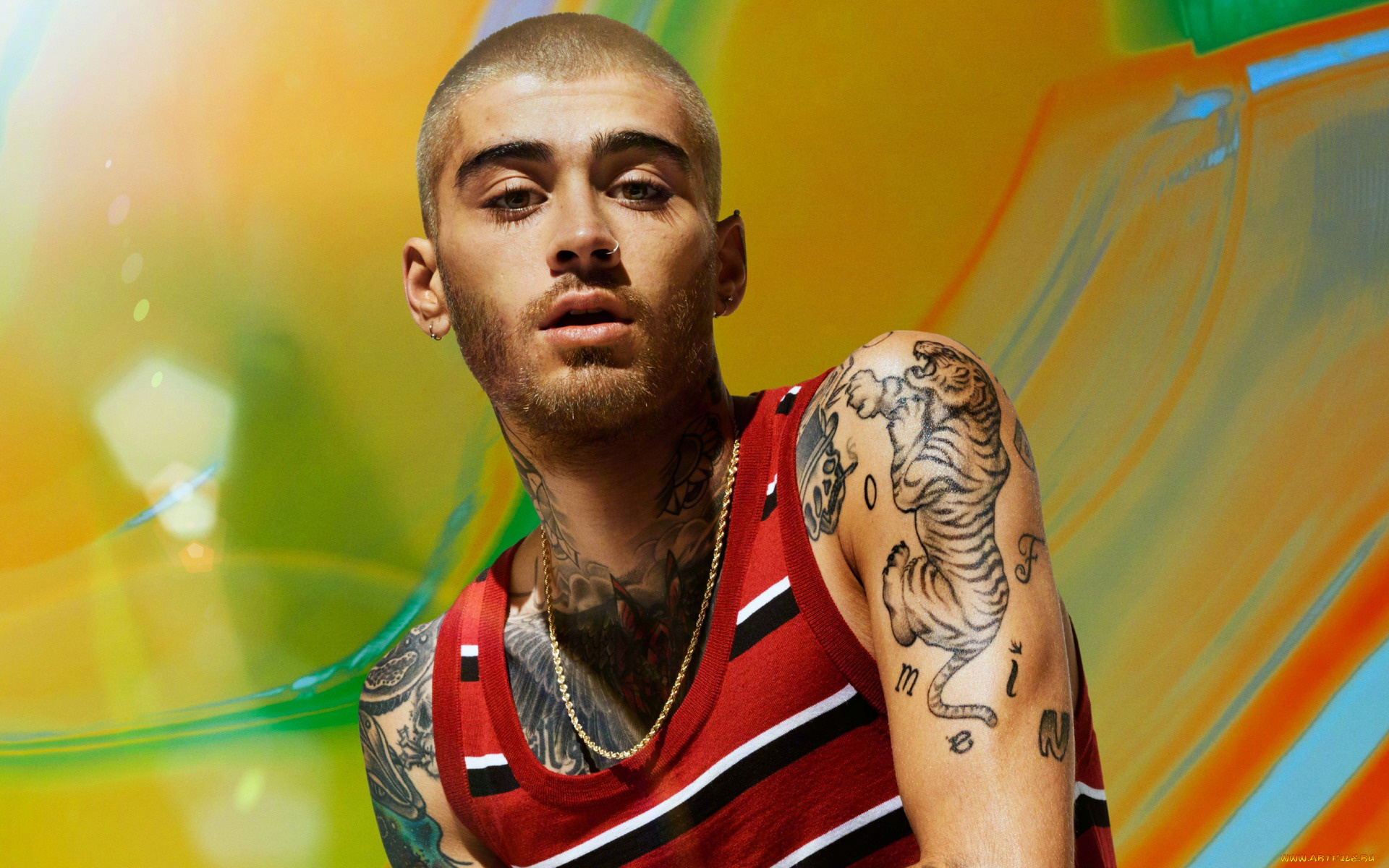 музыка, zayn, malik, тату