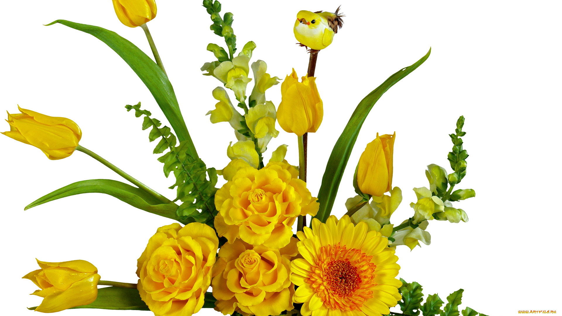 цветы, букеты, композиции, желтые