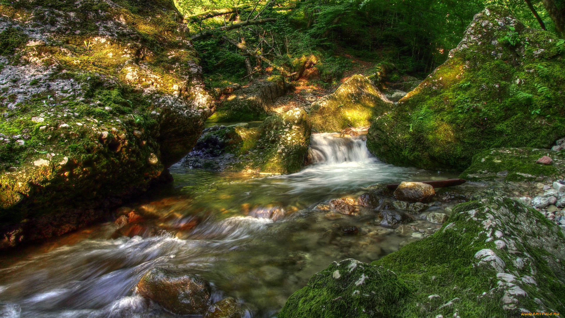 austrian, alps, природа, реки, озера, лес, ручей