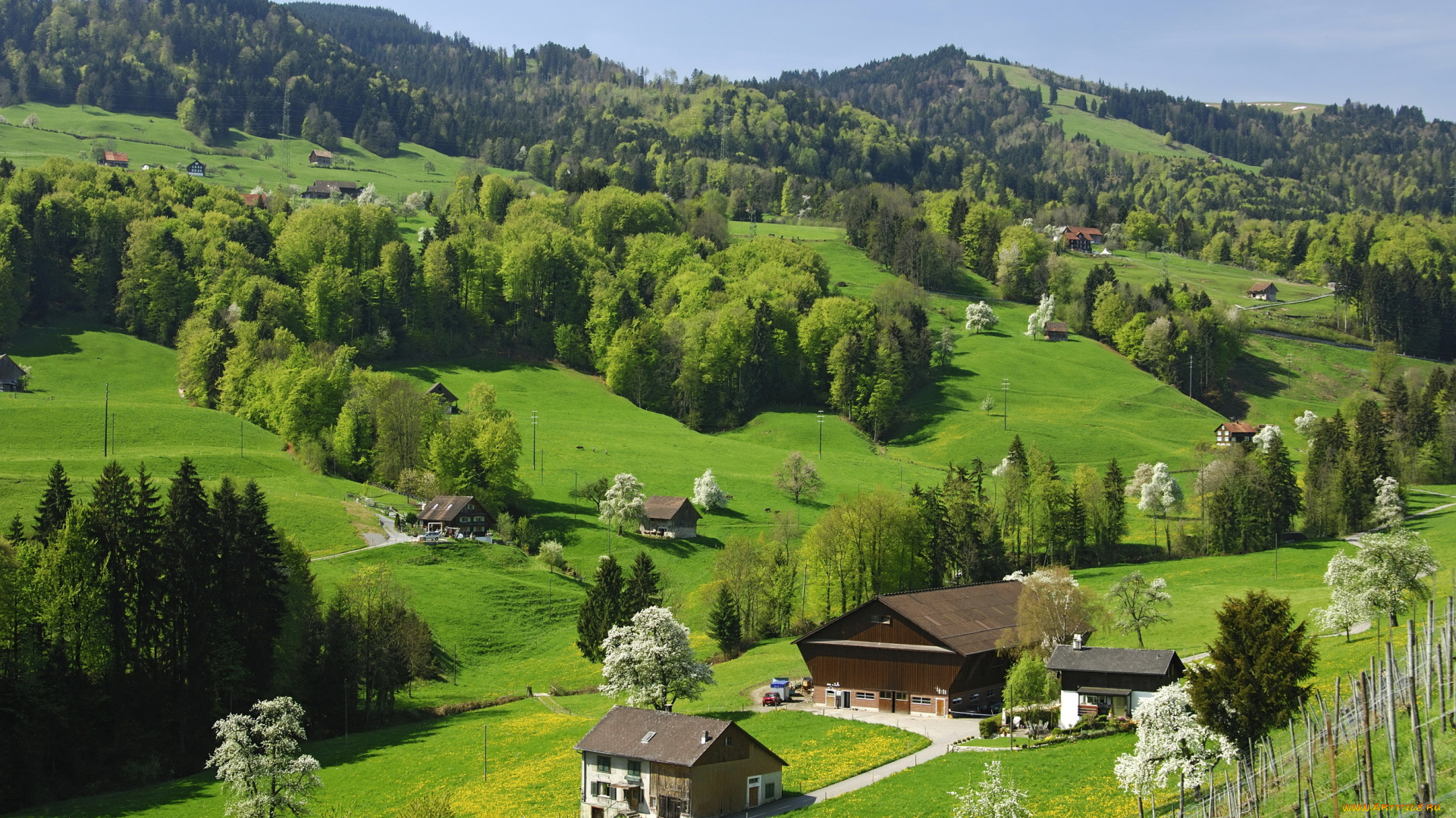 природа, пейзажи, деревья, горы, nature, швейцария, switzerland