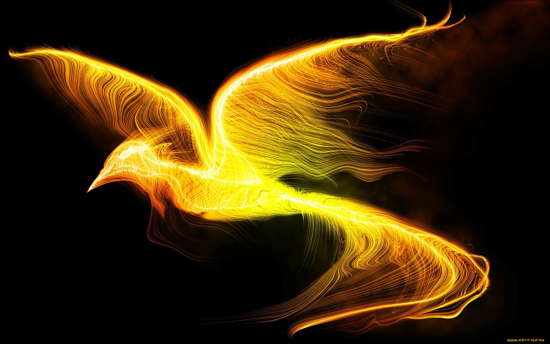 Огненный феникс читать. Феникс 3. Птица Феникс. Огненная птица. Огненный Феникс.