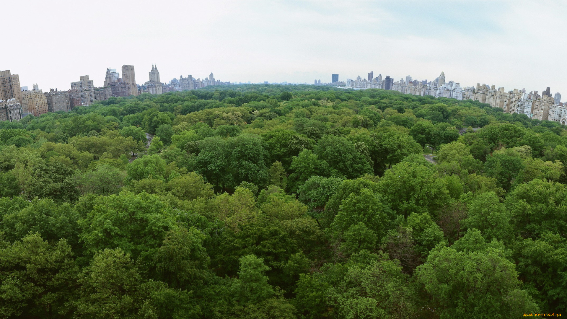 города, нью-йорк, , сша, зелень, парк, панорама, деревья, город, дома, здания