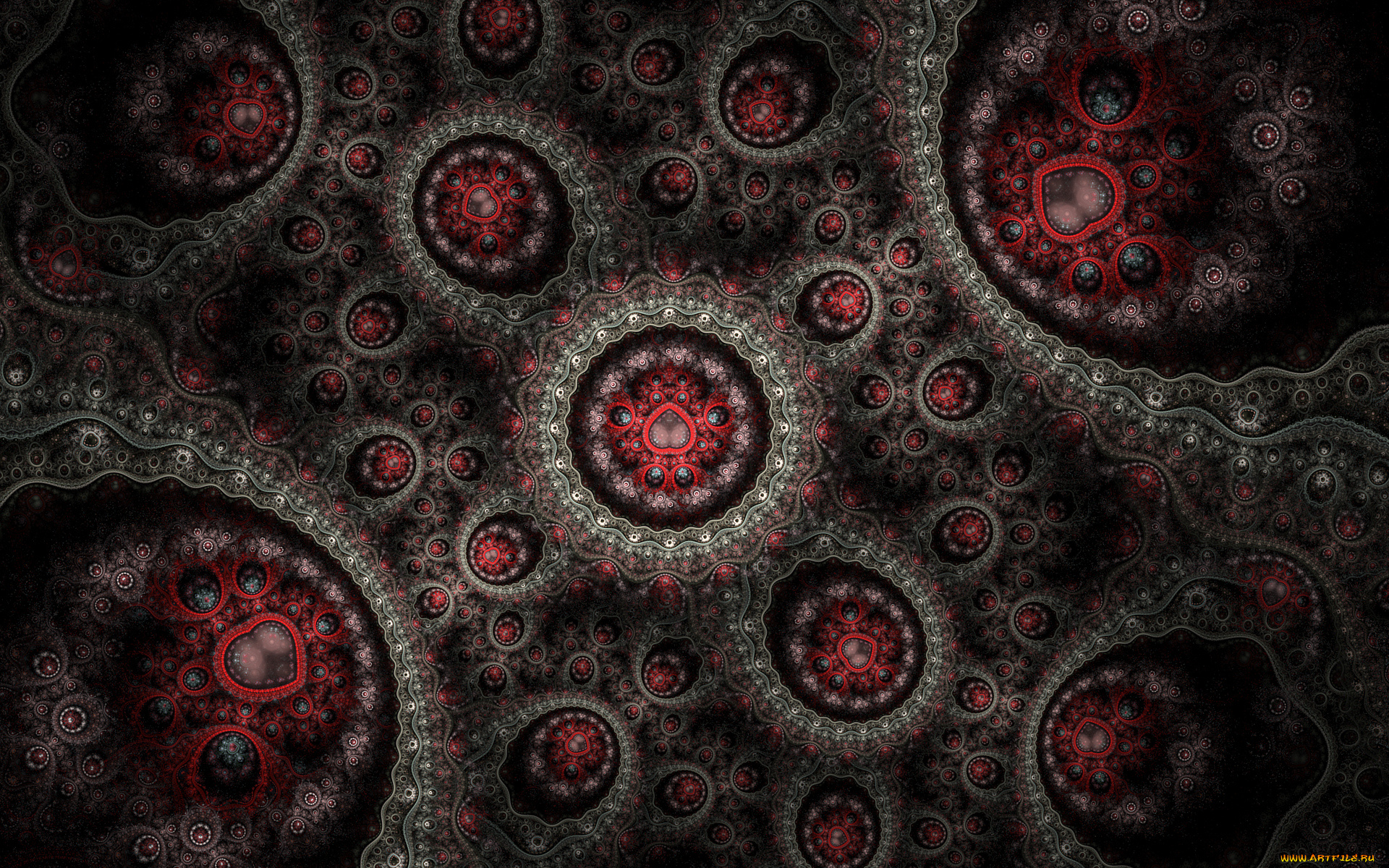 3д, графика, fractal, , фракталы, узор, фон, цвета