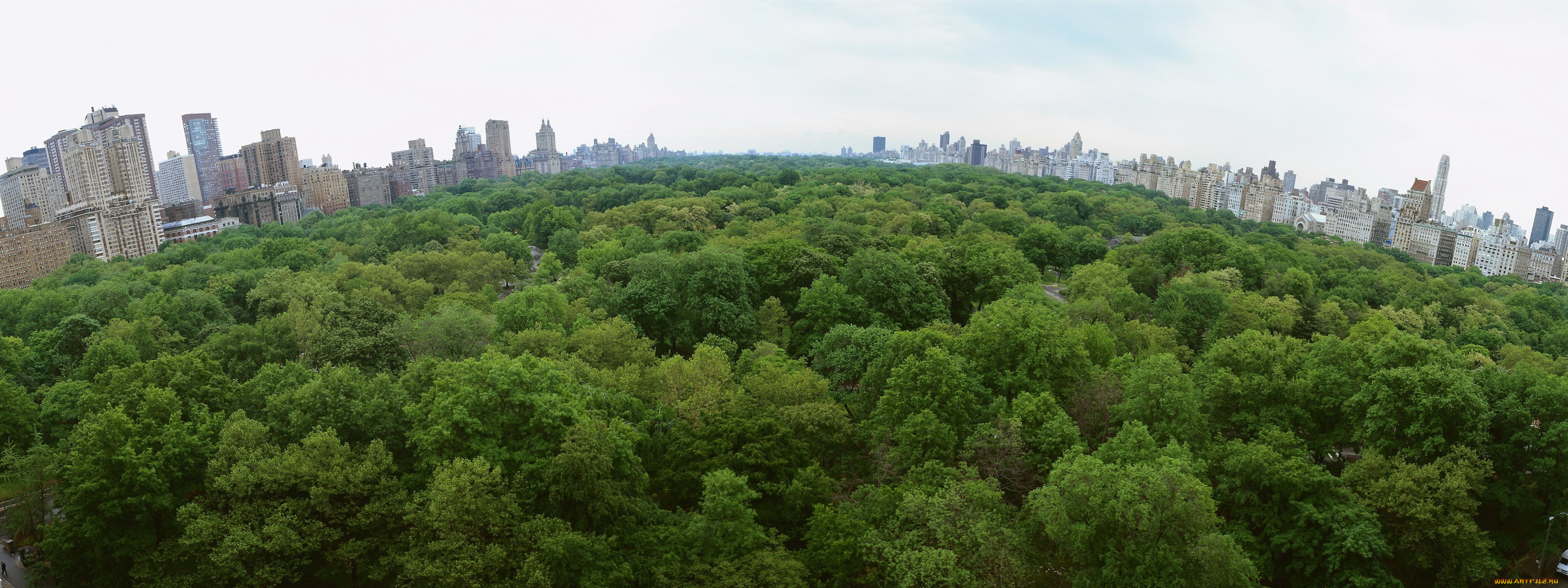 города, нью-йорк, , сша, зелень, парк, панорама, деревья, город, дома, здания