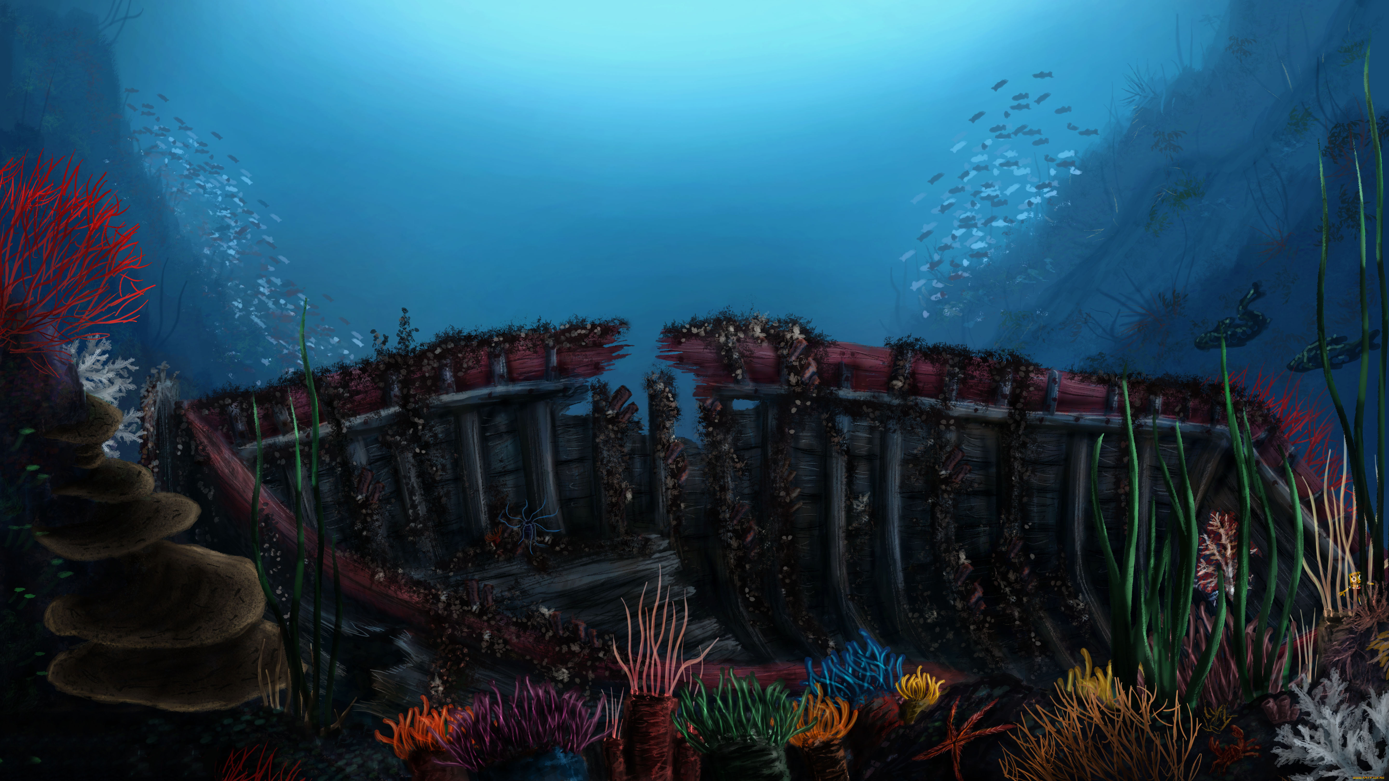 подводный, мир, рисованные, природа, подводный, мир, океан, водоросли