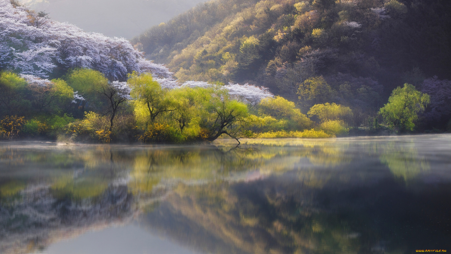 природа, реки, озера, весна, река, Япония, озеро