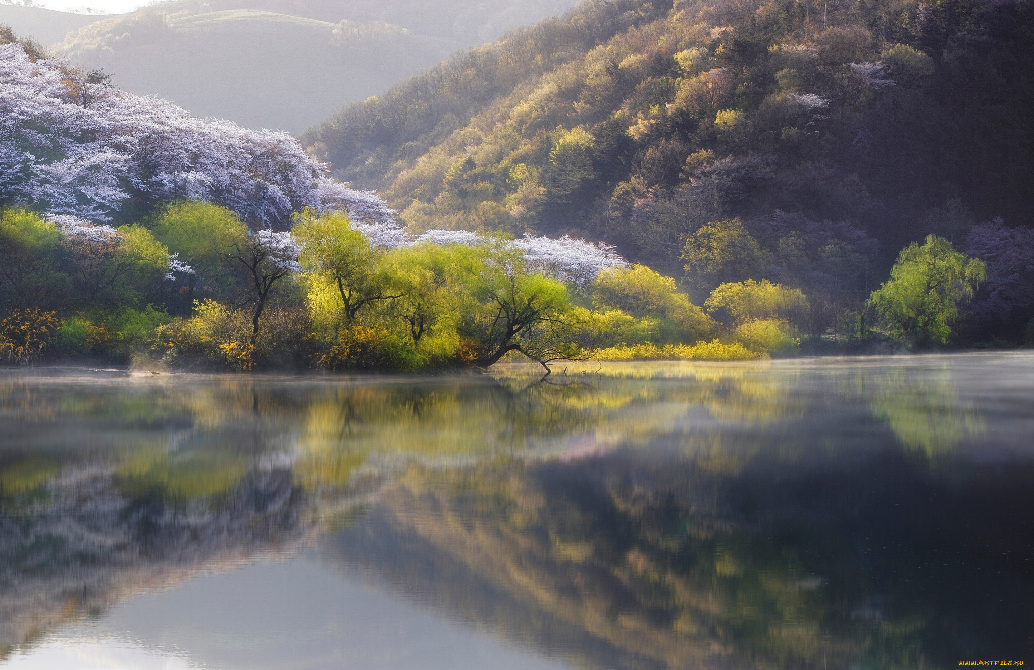 природа, реки, озера, весна, река, Япония, озеро