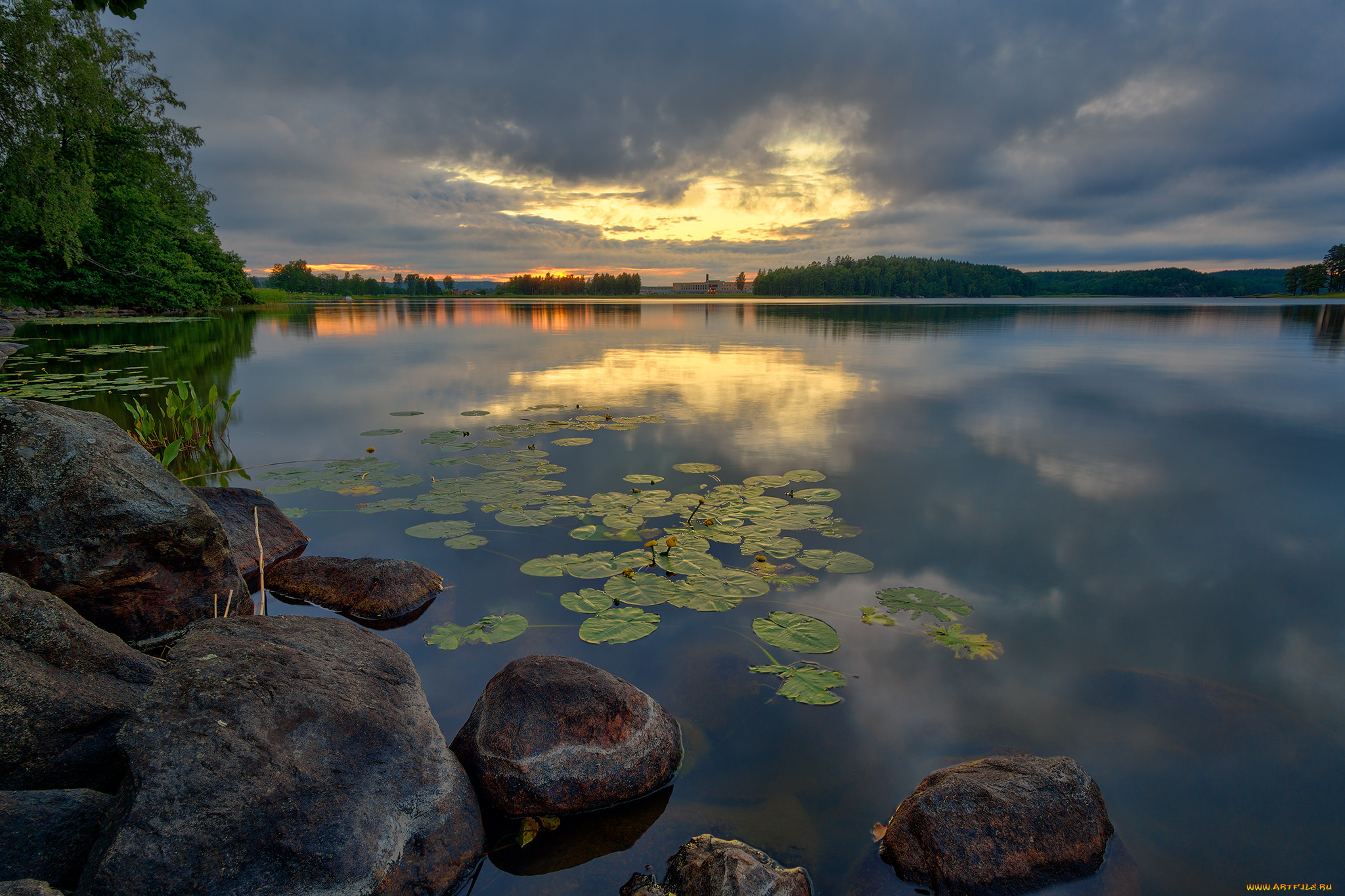 природа, реки, озера, река, лес