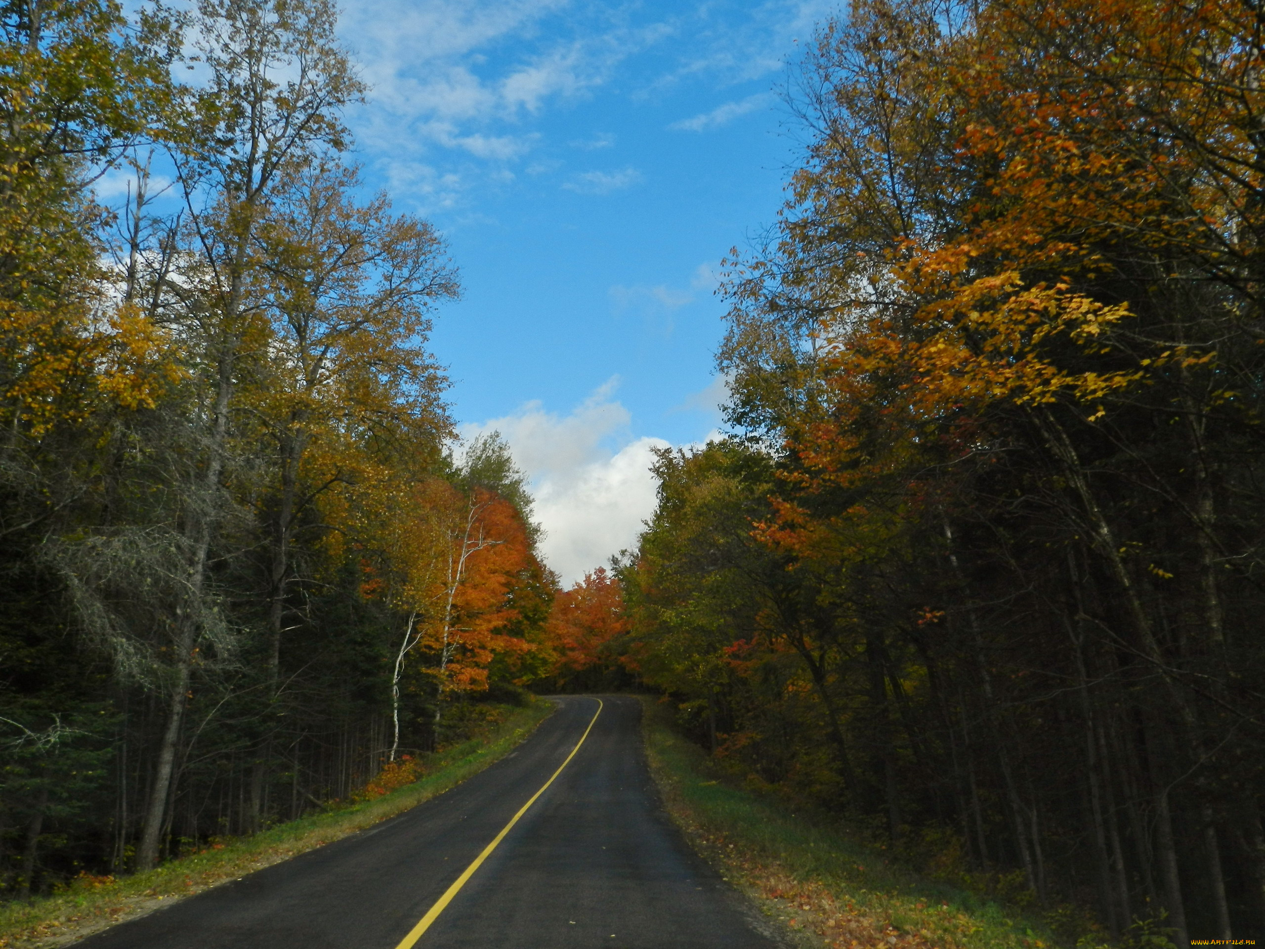 природа, дороги, дорога, осень, деревья