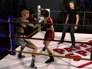Картинка 3д+графика спорт+ sport девушки ринг фон взгляд