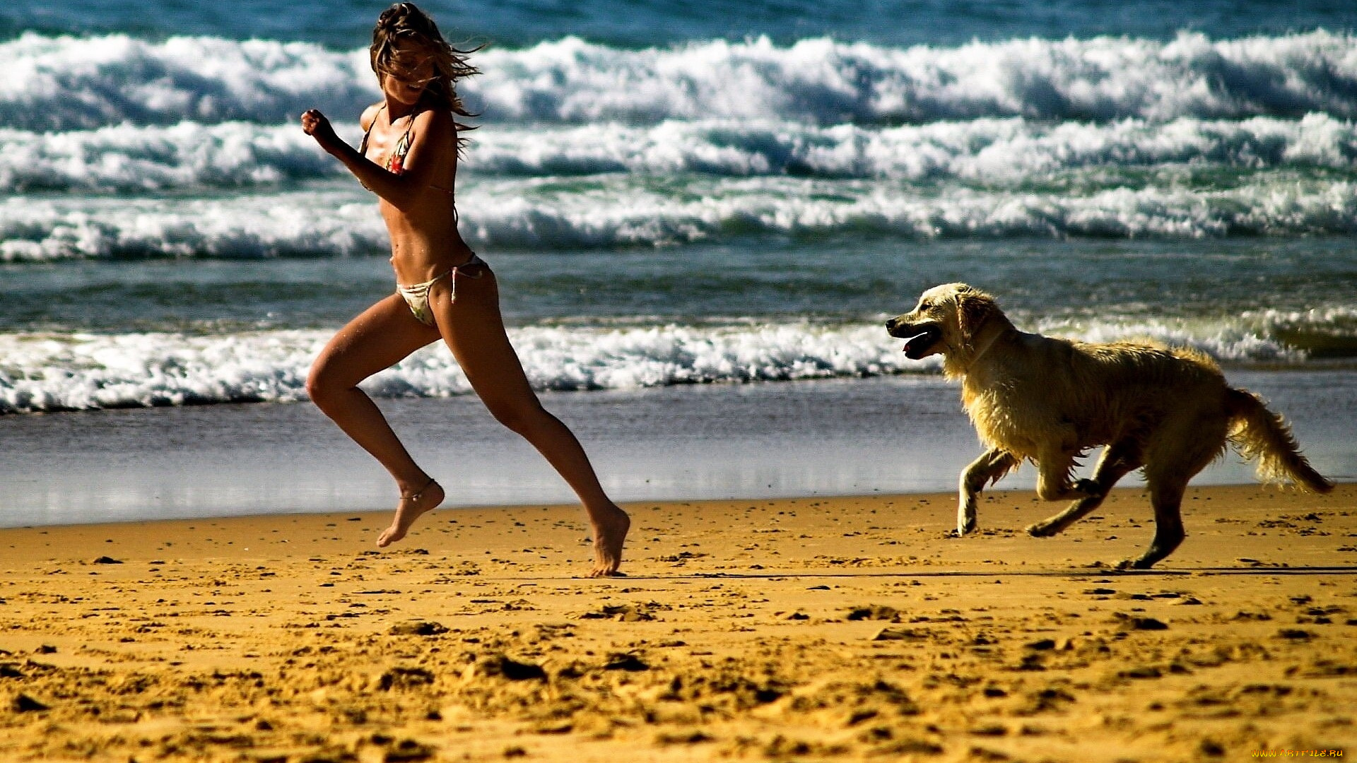 Девушка бежит с собакой