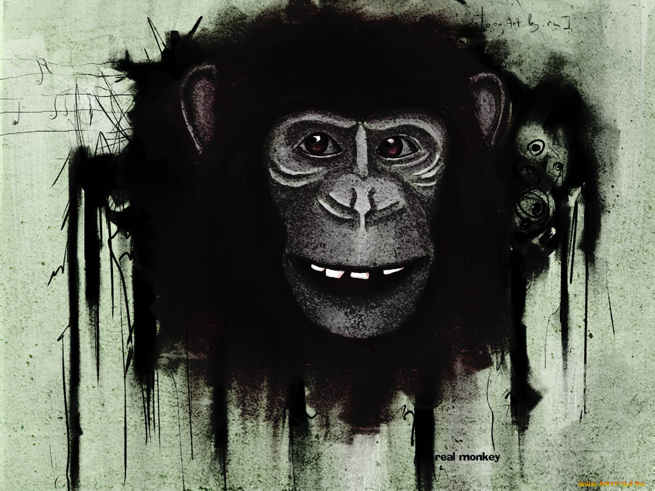 monkey, рисованные, животные, обезьяны