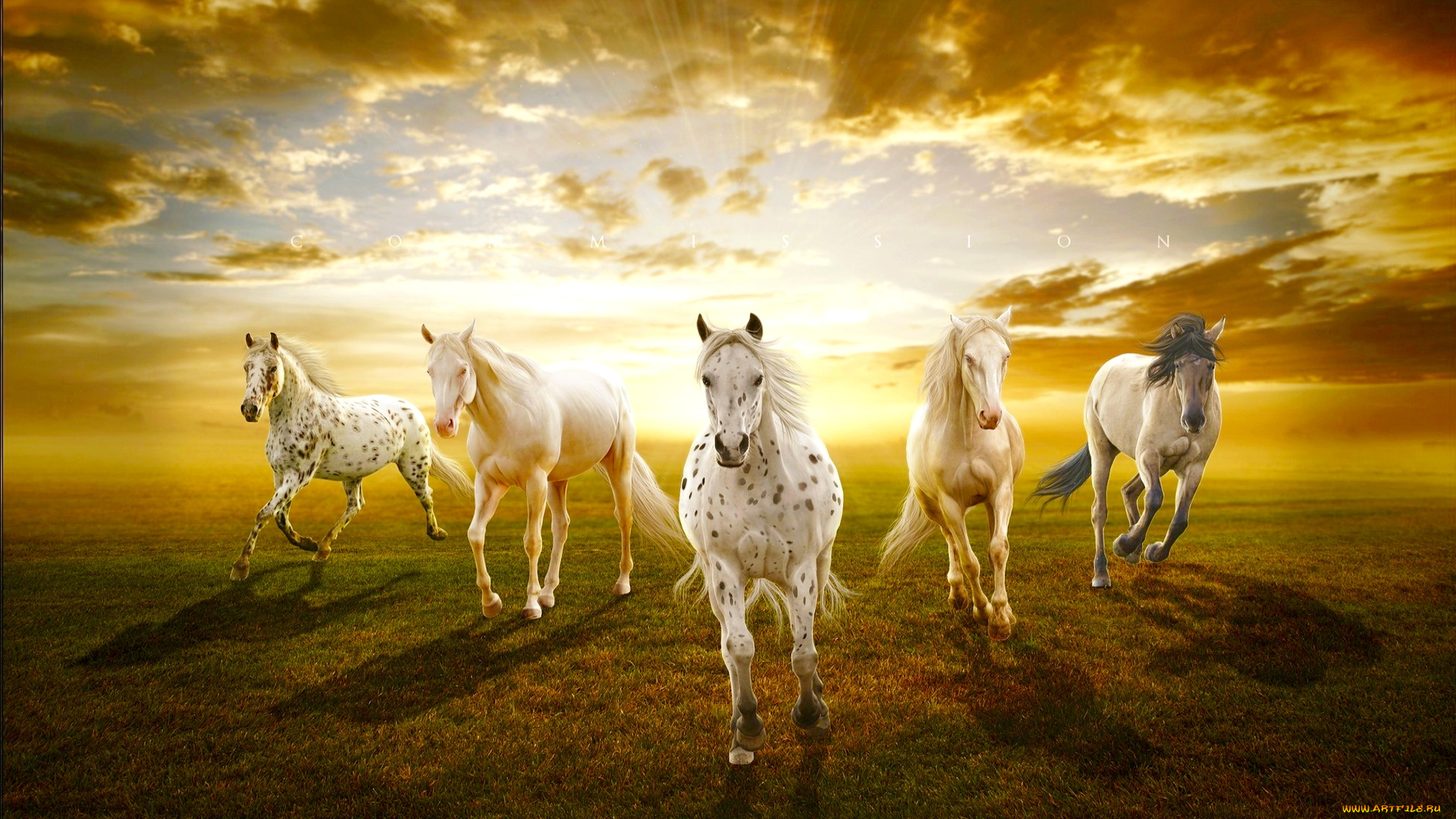 рисованные, животные, лошади, поле, рассвет, облака, бег