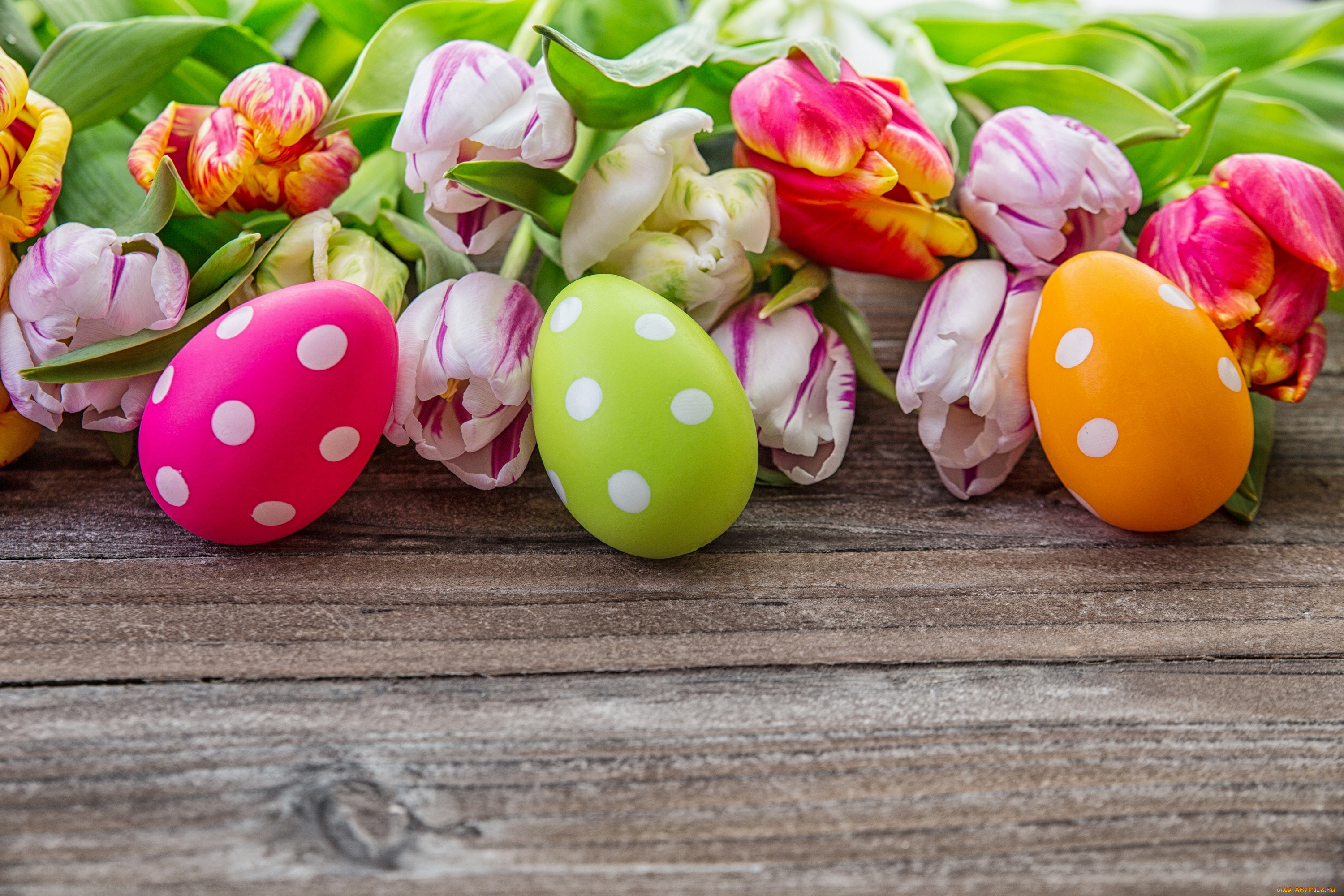 праздничные, пасха, яйца, пасхальные, easter, happy