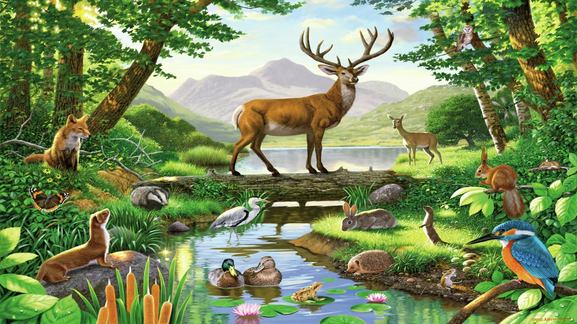 рисованное, животные, рисунок, картина, лес, олень, птицы