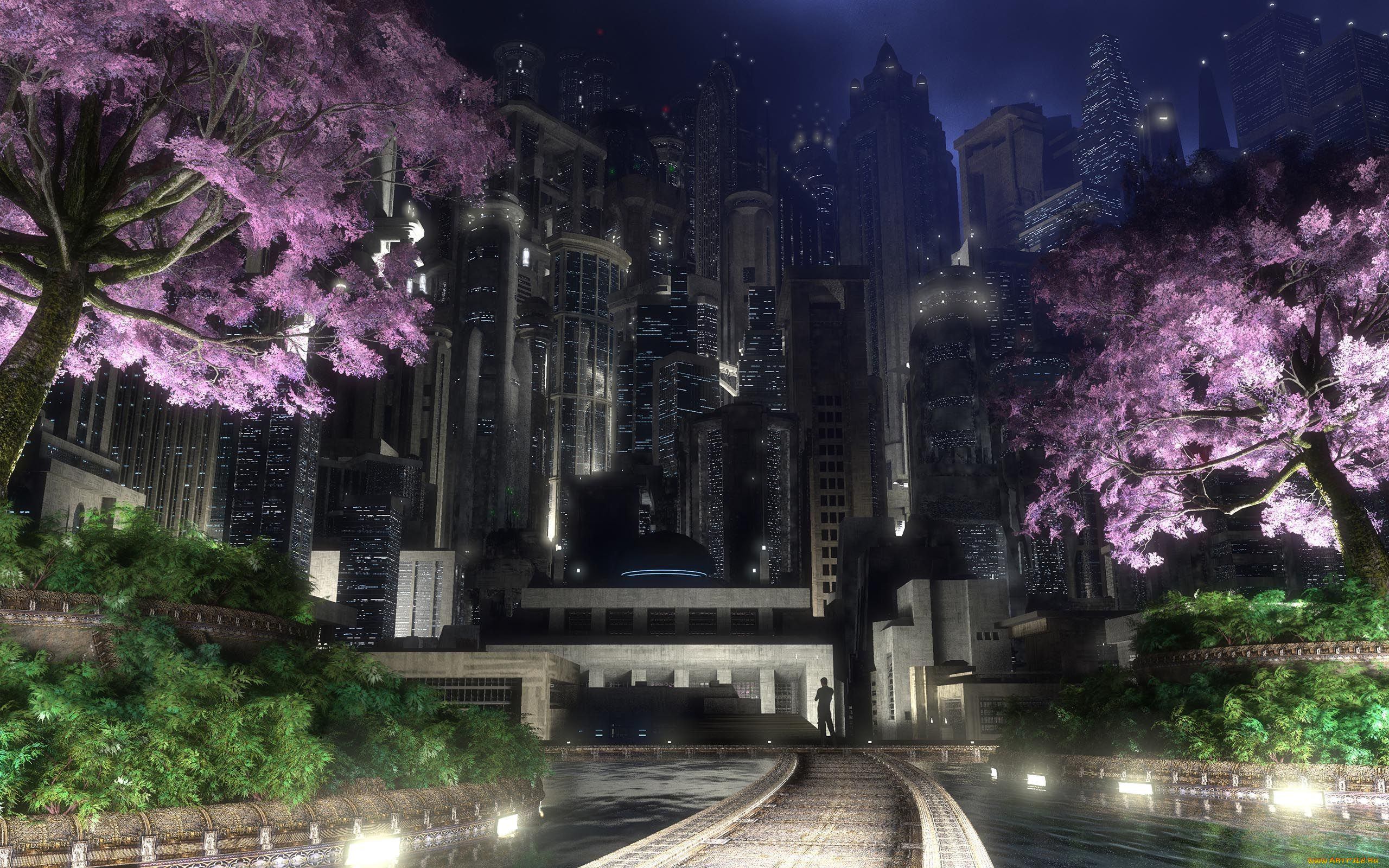 природа цветы ночь город страны сакура загрузить