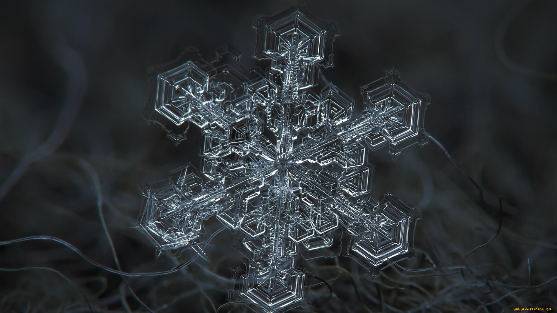 природа, макро, снежинка, кристалл, ворс