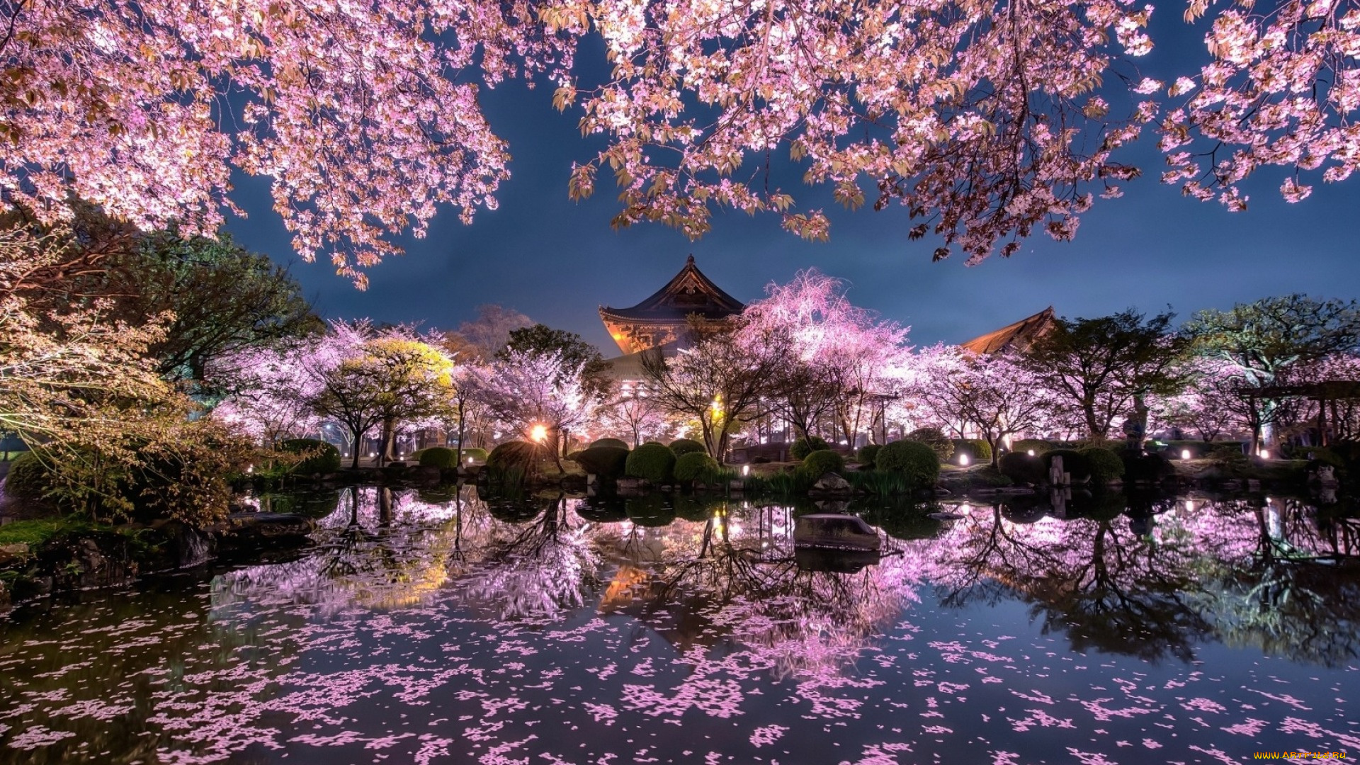 природа, парк, японский, сад, весна