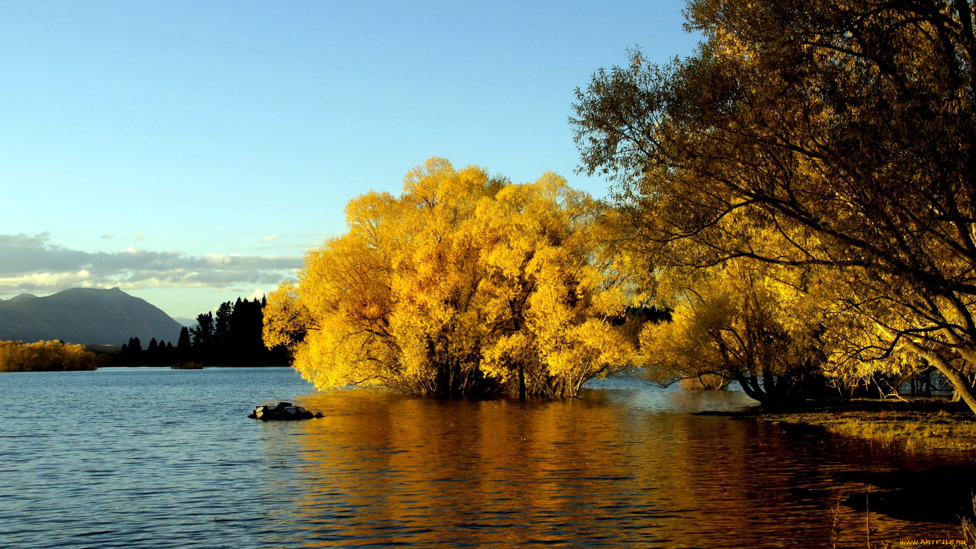 природа, реки, озера, осень, река, отражение
