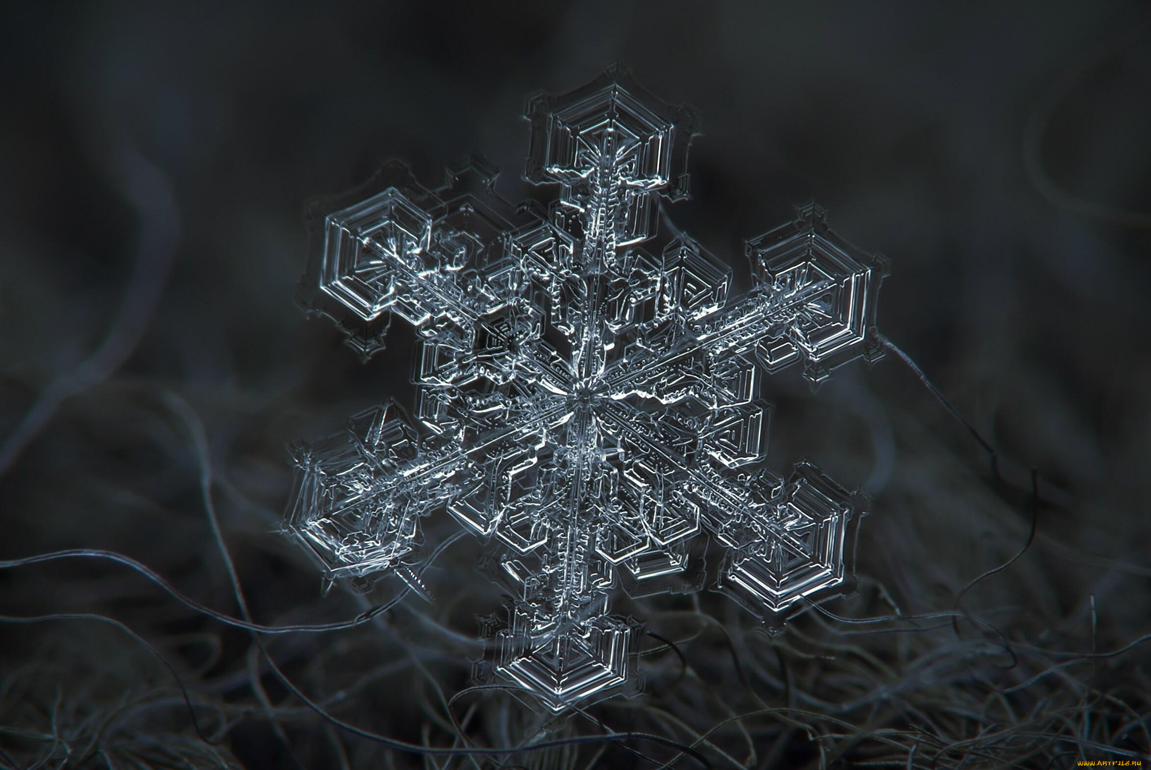 природа, макро, снежинка, кристалл, ворс